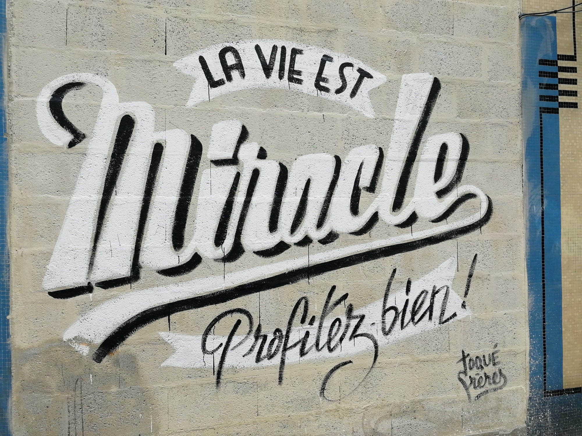Graffiti 1523 La vie est miracle, profitez bien ! by the artist Toqué frères captured by Rabot in Nantes France
