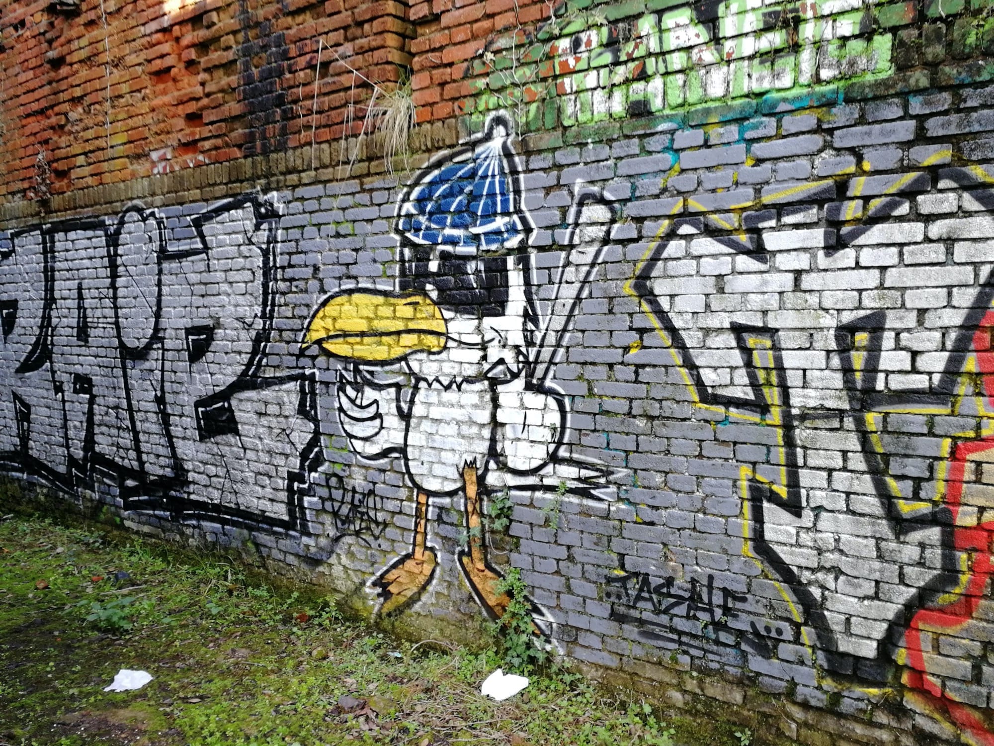 Graffiti 1538 Duck by the artist Tashe captured by Rabot in Trignac France