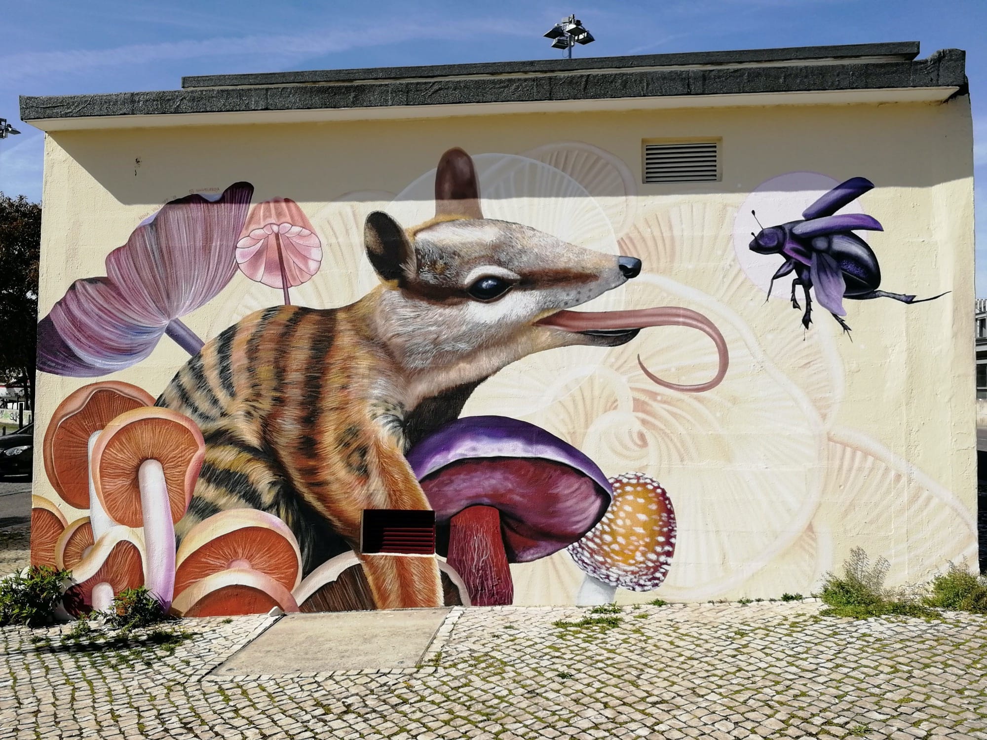 Graffiti 1900 Numbat in mushroom forest by the artist Nina Valkhoff captured by Rabot in Lisboa Portugal
