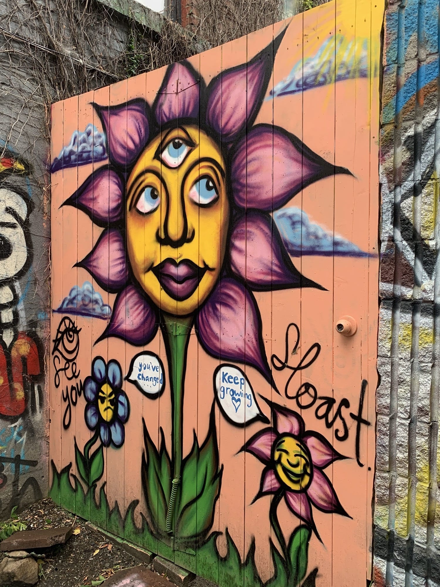 Graffiti 2094  capturé par Rabot à Montréal Canada