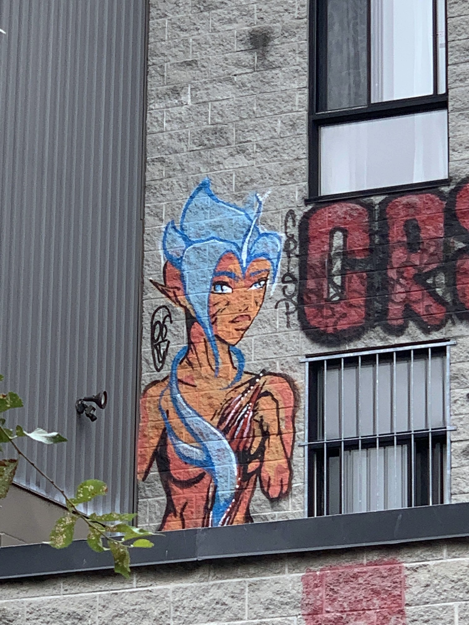 Graffiti 2104  capturé par Rabot à Montréal Canada