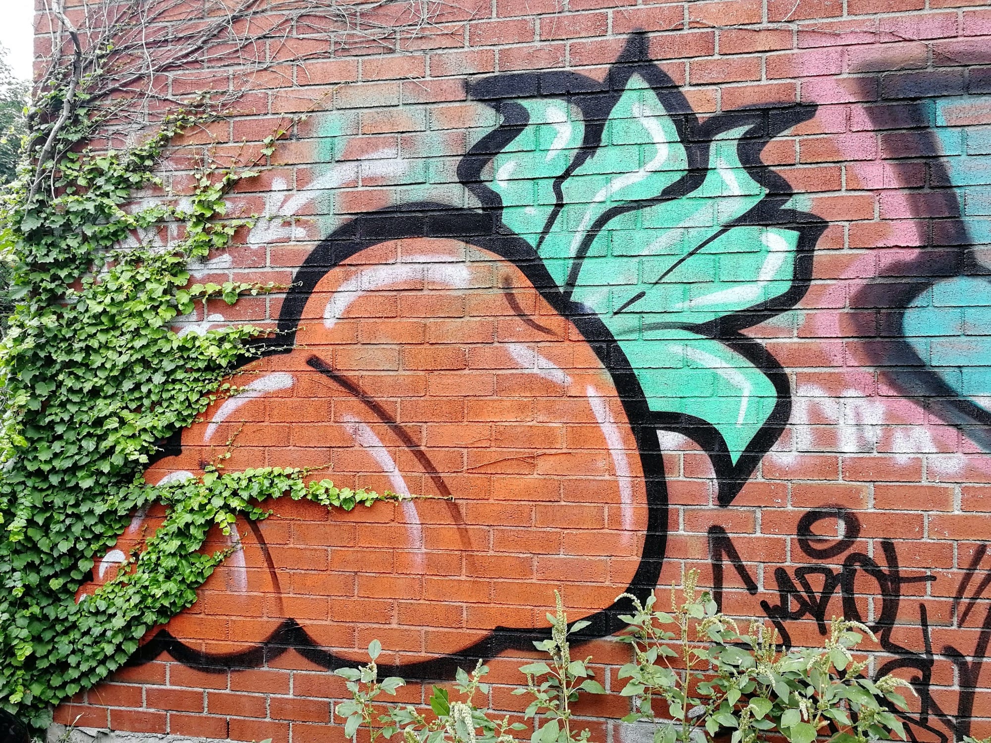 Graffiti 2146  capturé par Rabot à Montréal Canada