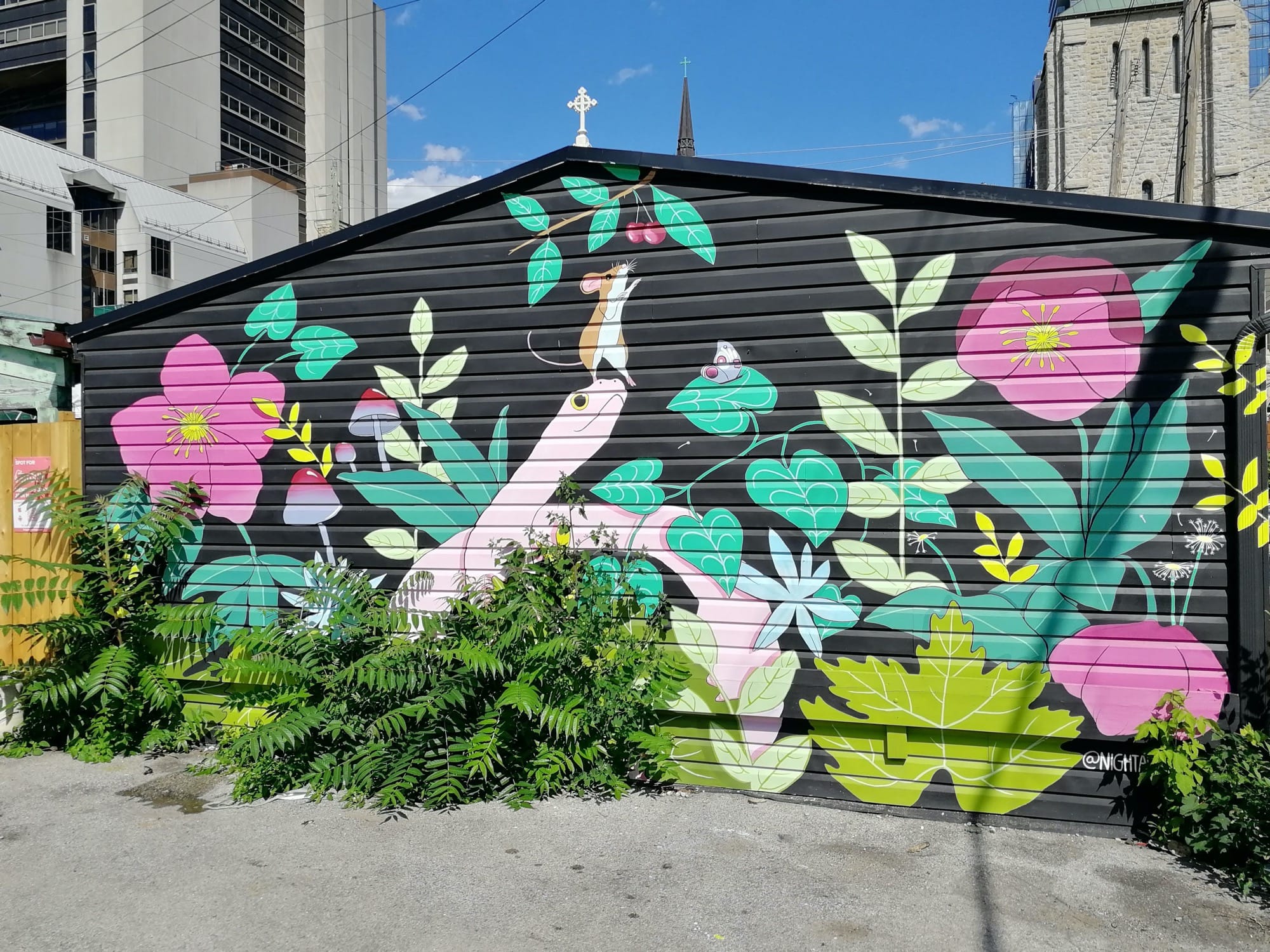 Graffiti 2342  capturé par Rabot à Toronto Canada