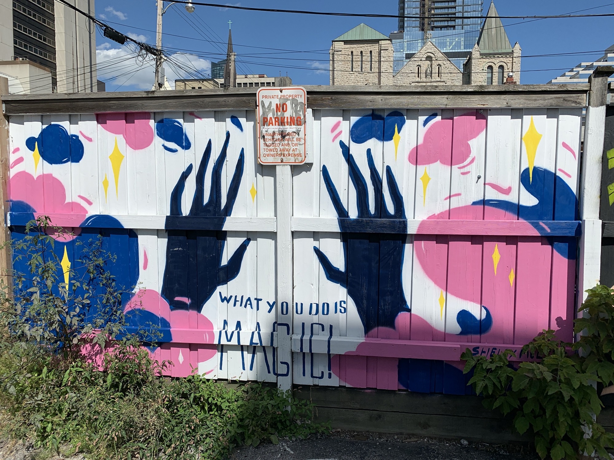 Graffiti 2343  capturé par Rabot à Toronto Canada