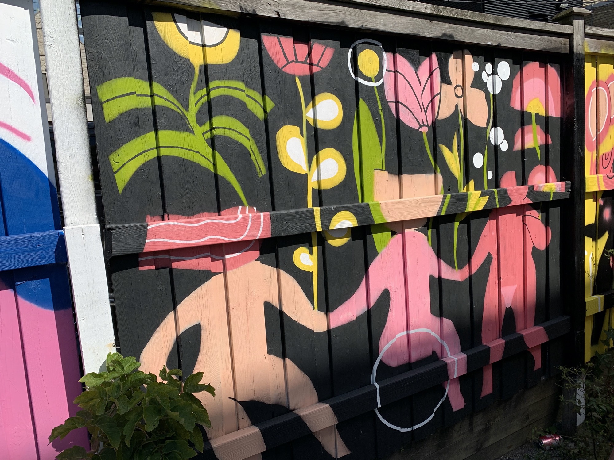 Graffiti 2344  capturé par Rabot à Toronto Canada