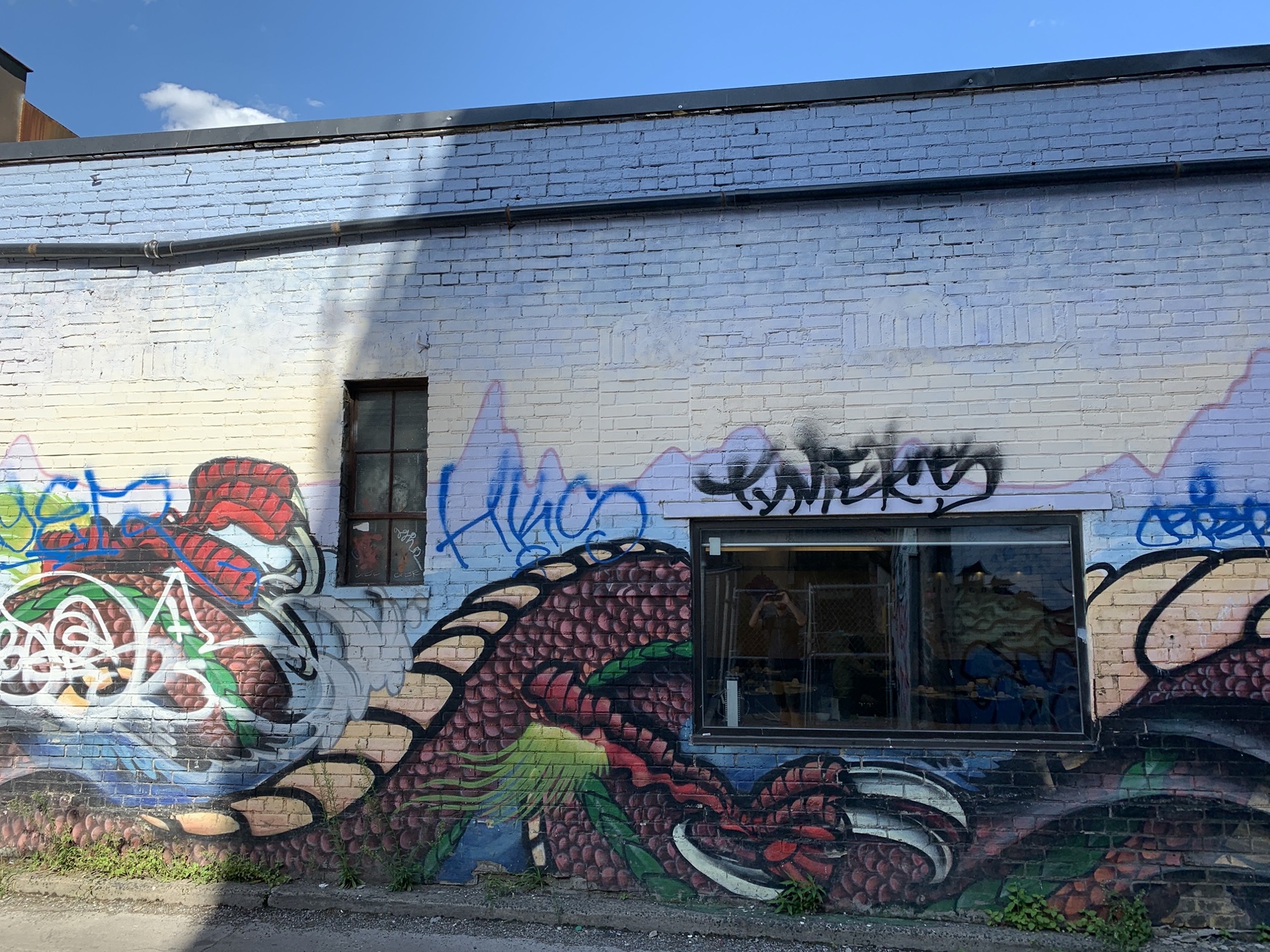 Graffiti 2372  capturé par Rabot à Toronto Canada