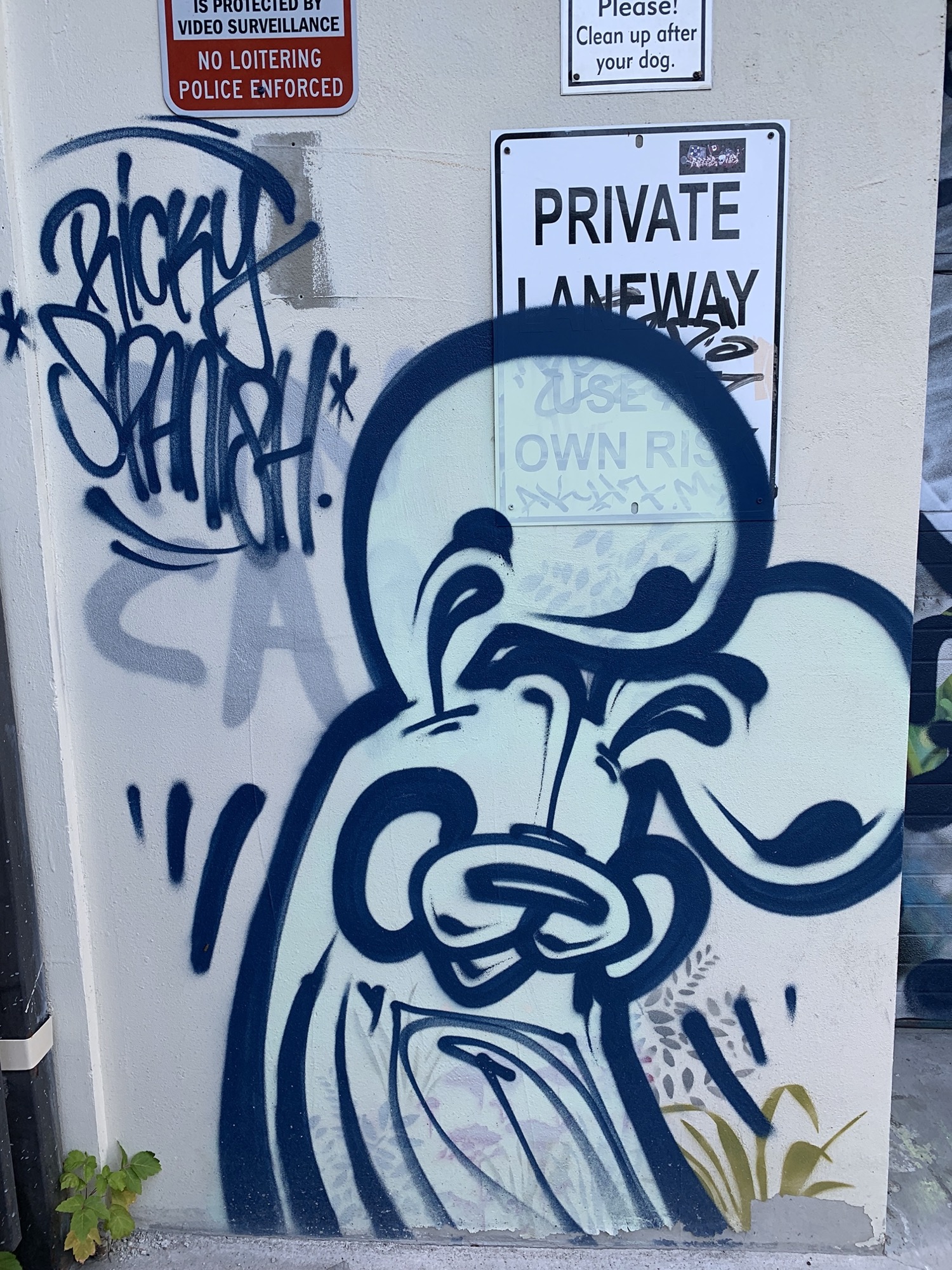 Graffiti 2394  capturé par Rabot à Toronto Canada