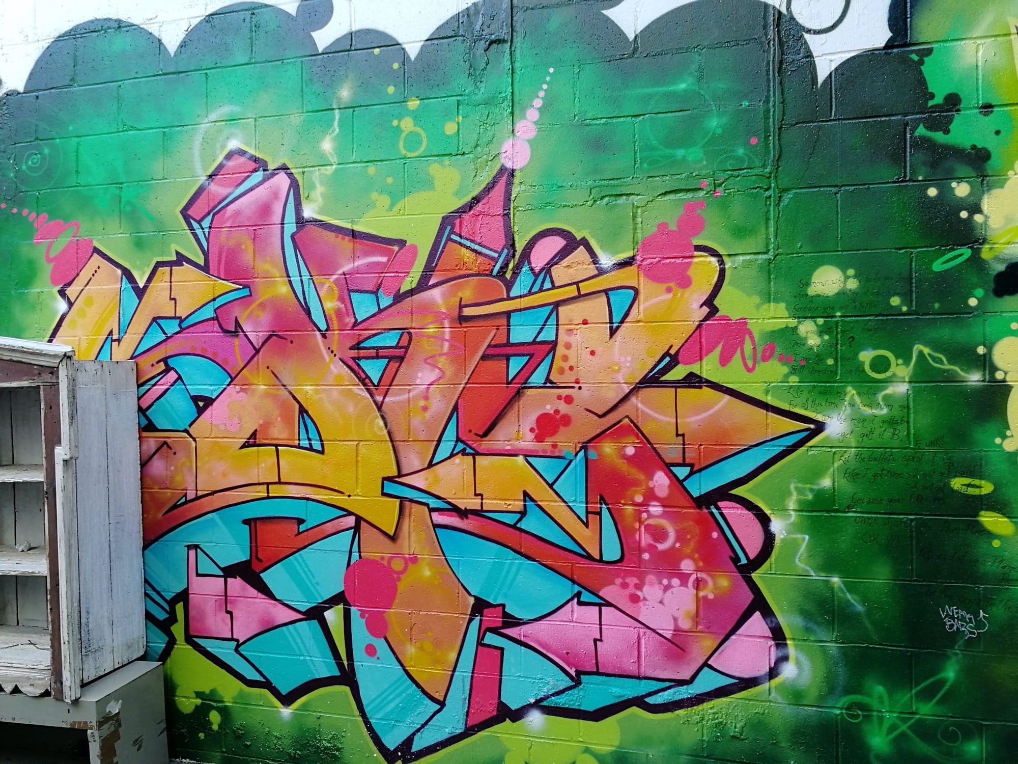 Graffiti 2397  captured by Rabot in Toronto Canada