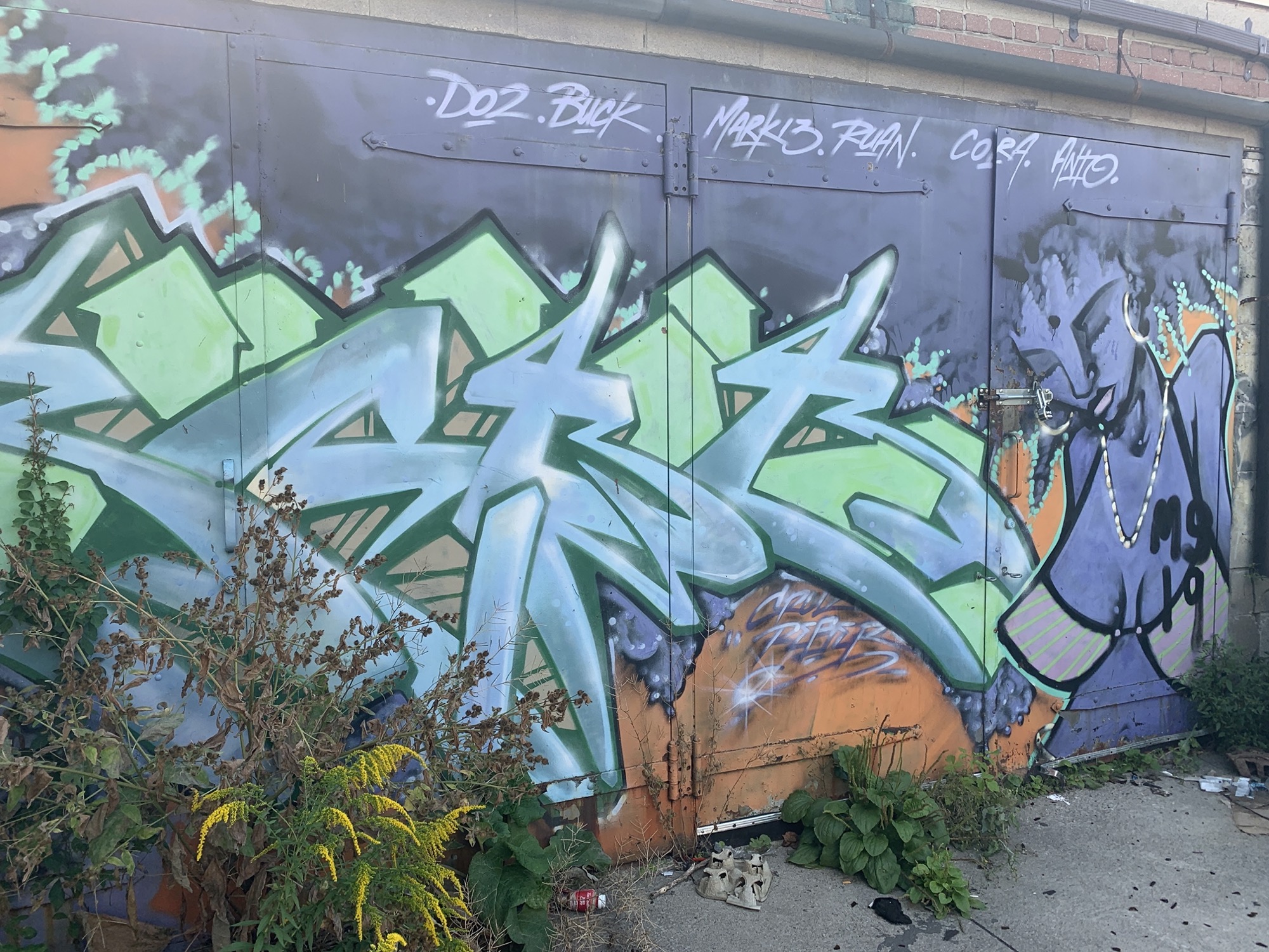 Graffiti 2425  capturé par Rabot à Toronto Canada