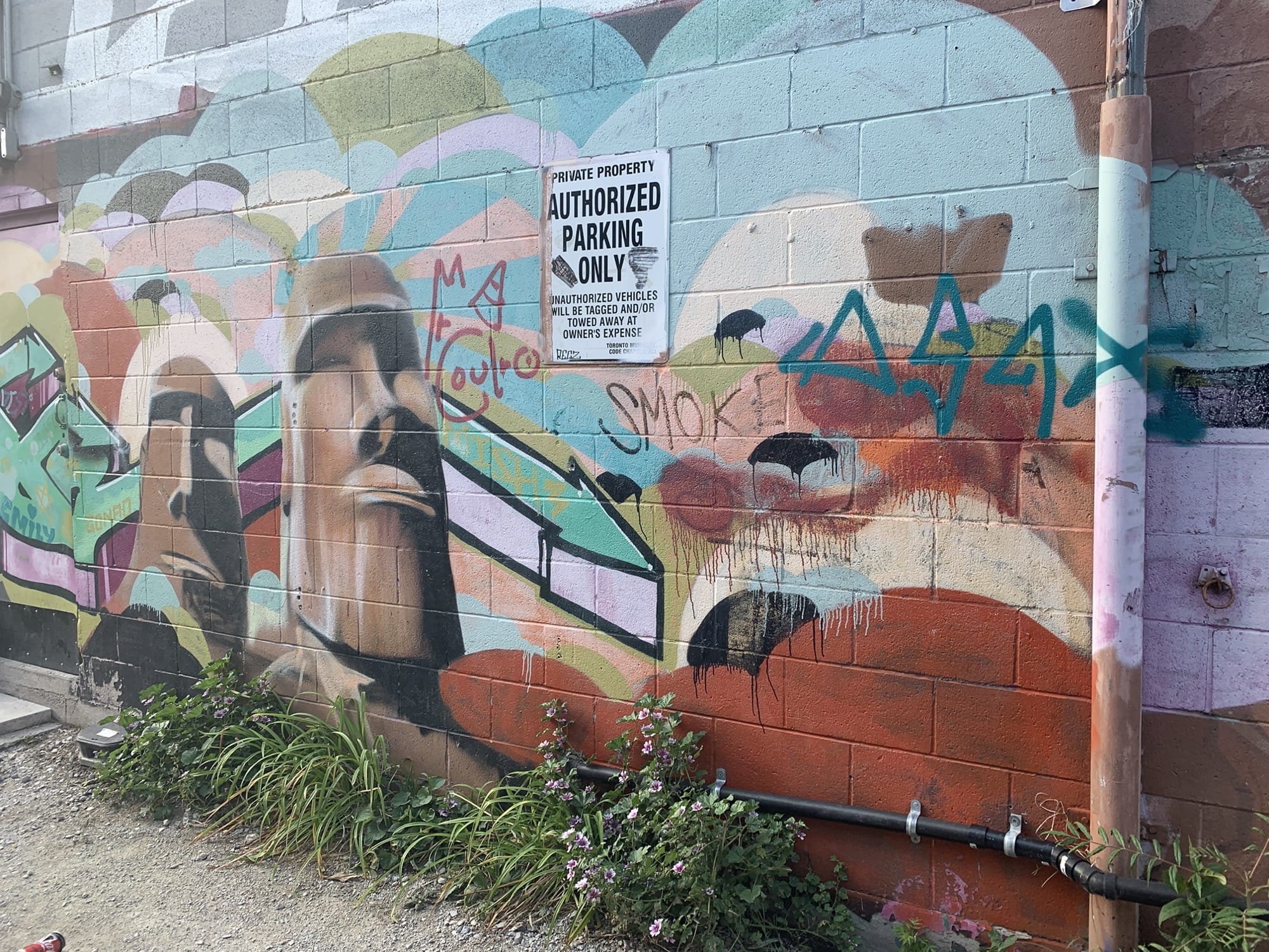 Graffiti 2426  capturé par Rabot à Toronto Canada