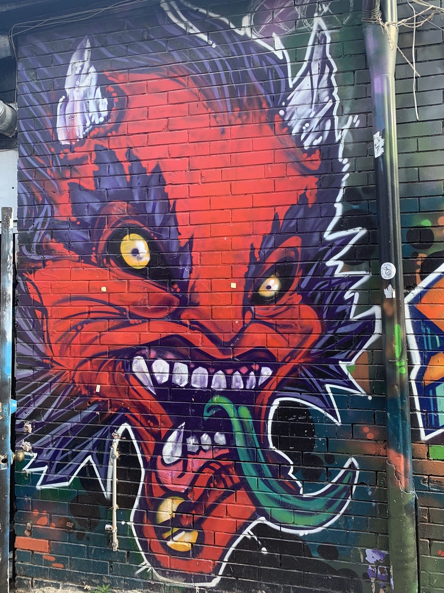 Graffiti 2431  capturé par Rabot à Toronto Canada