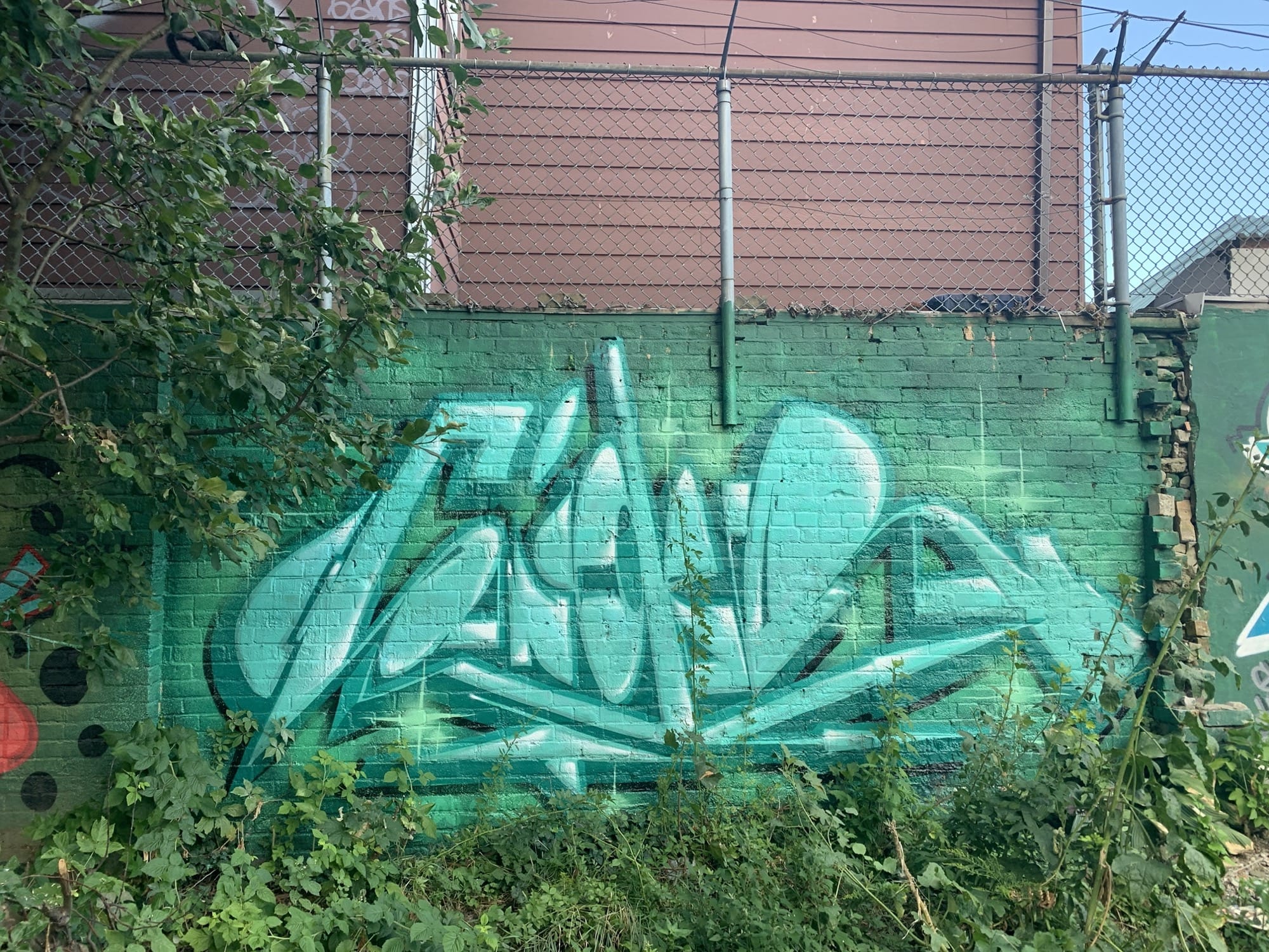 Graffiti 2452  captured by Rabot in Toronto Canada