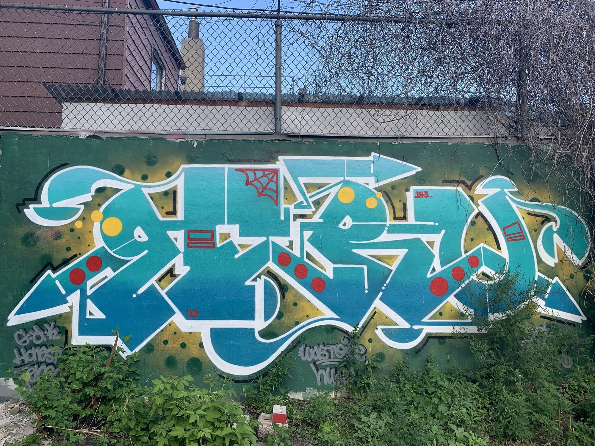 Graffiti 2454  captured by Rabot in Toronto Canada