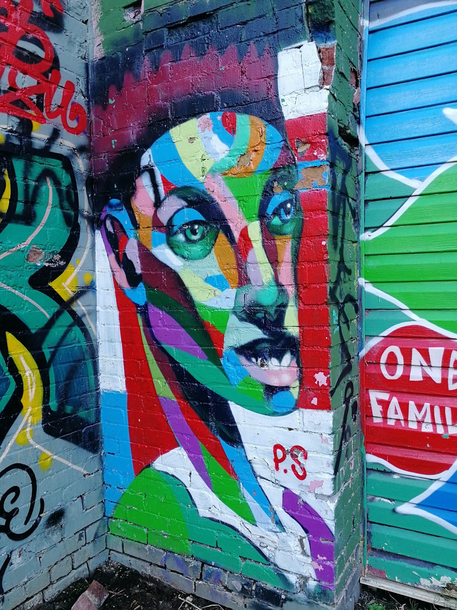 Graffiti 2455  capturé par Rabot à Toronto Canada