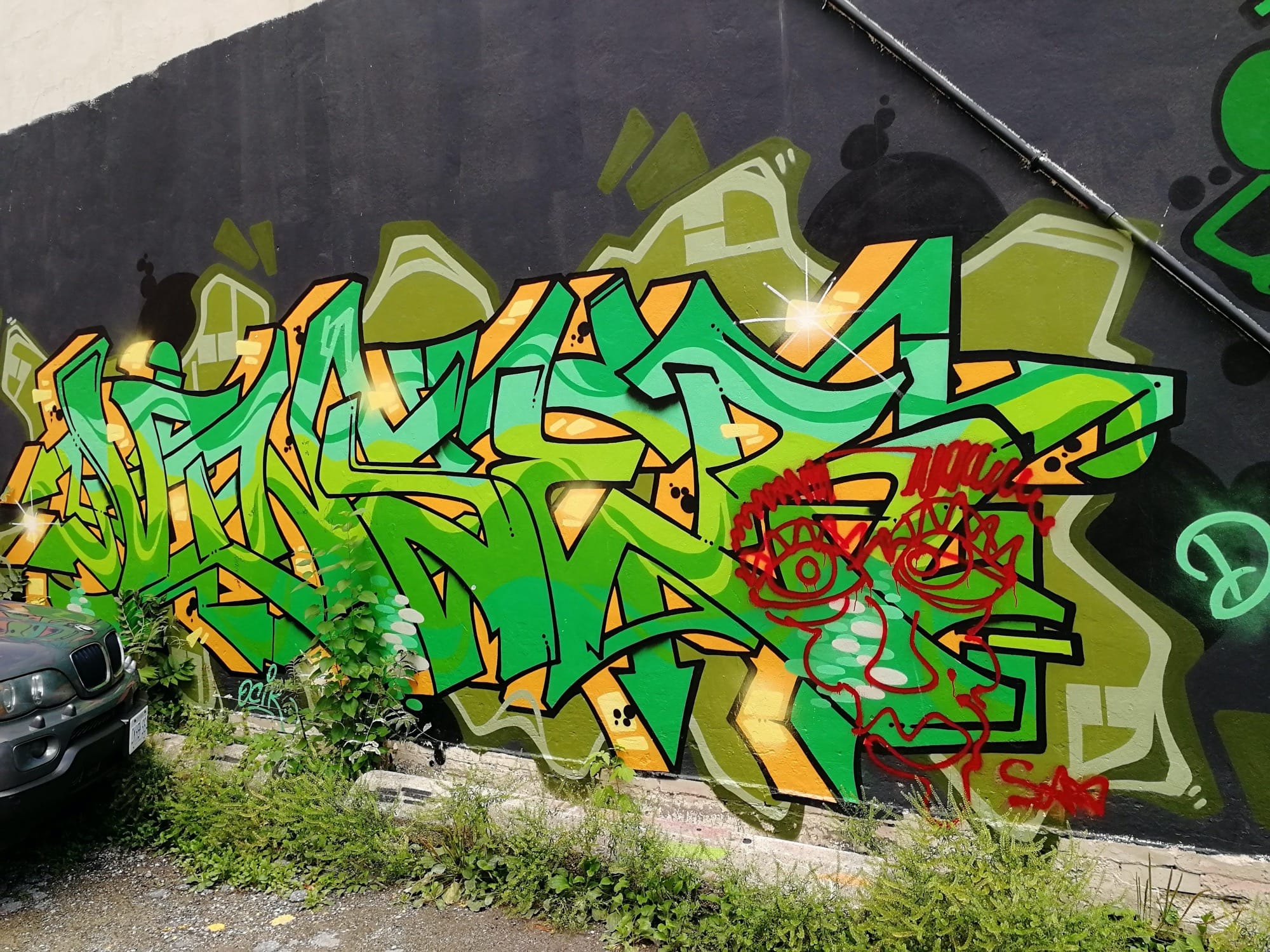 Graffiti 2468  capturé par Rabot à Toronto Canada