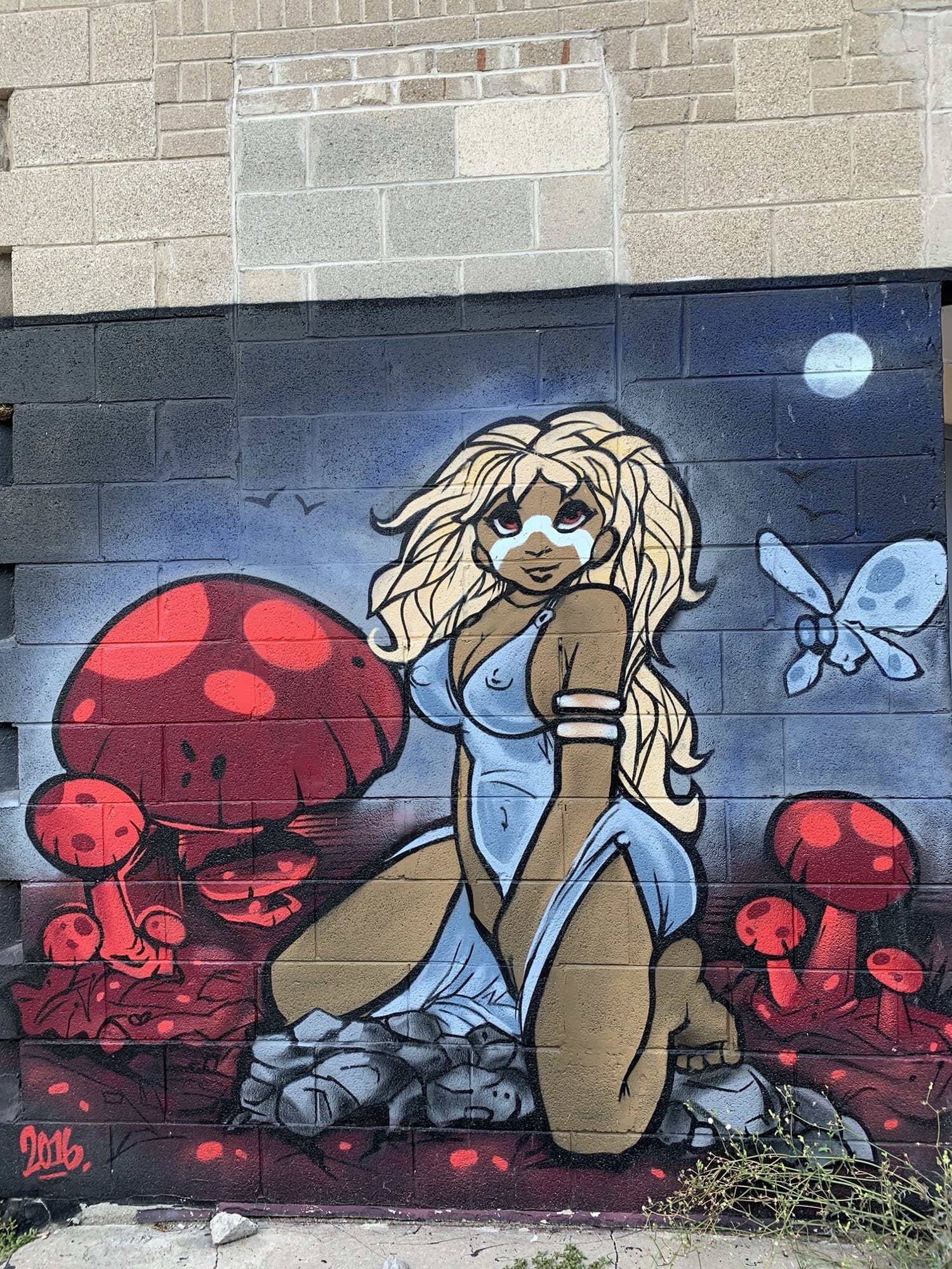 Graffiti 2473  captured by Rabot in Toronto Canada