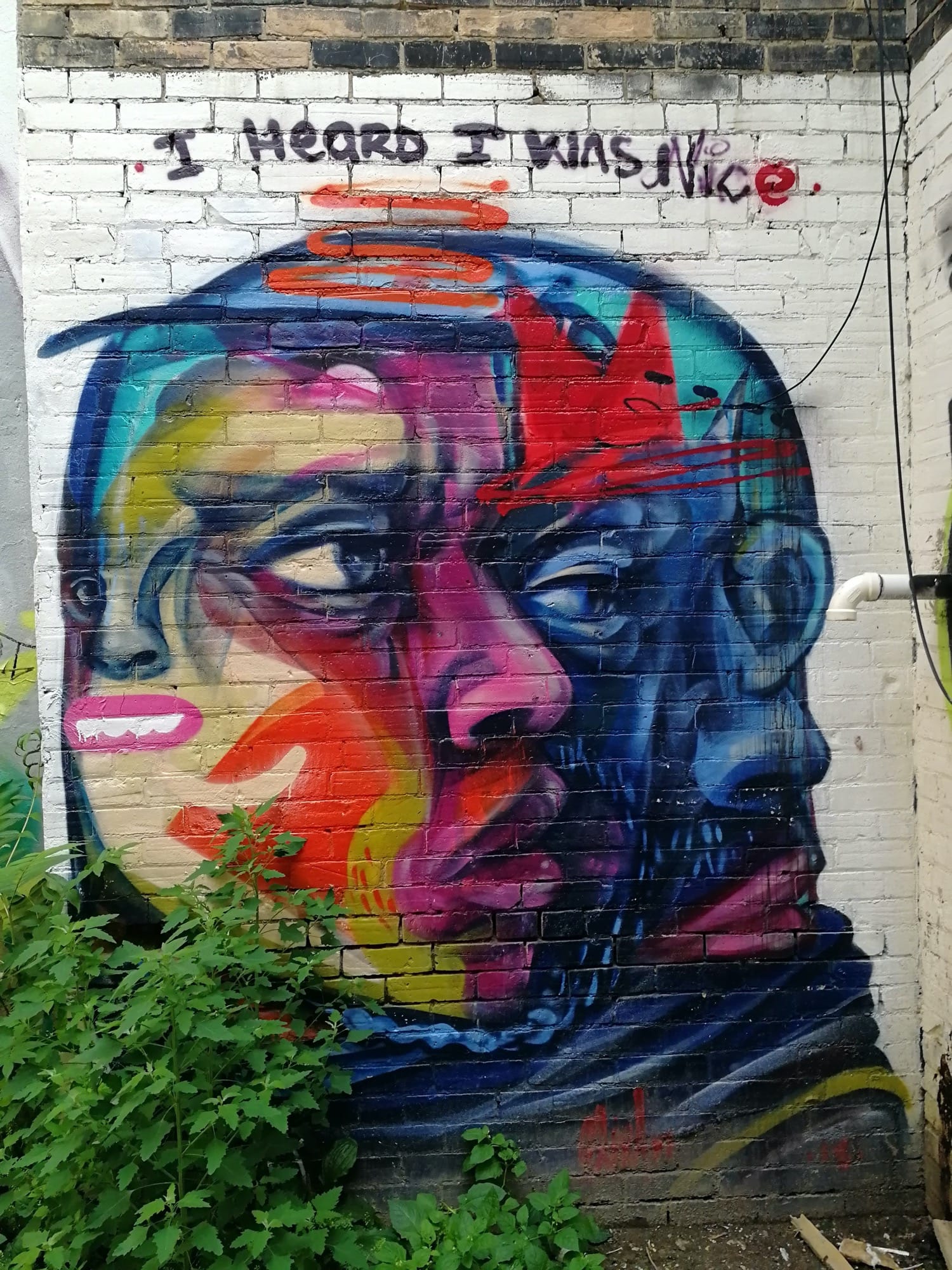 Graffiti 2480  capturé par Rabot à Toronto Canada