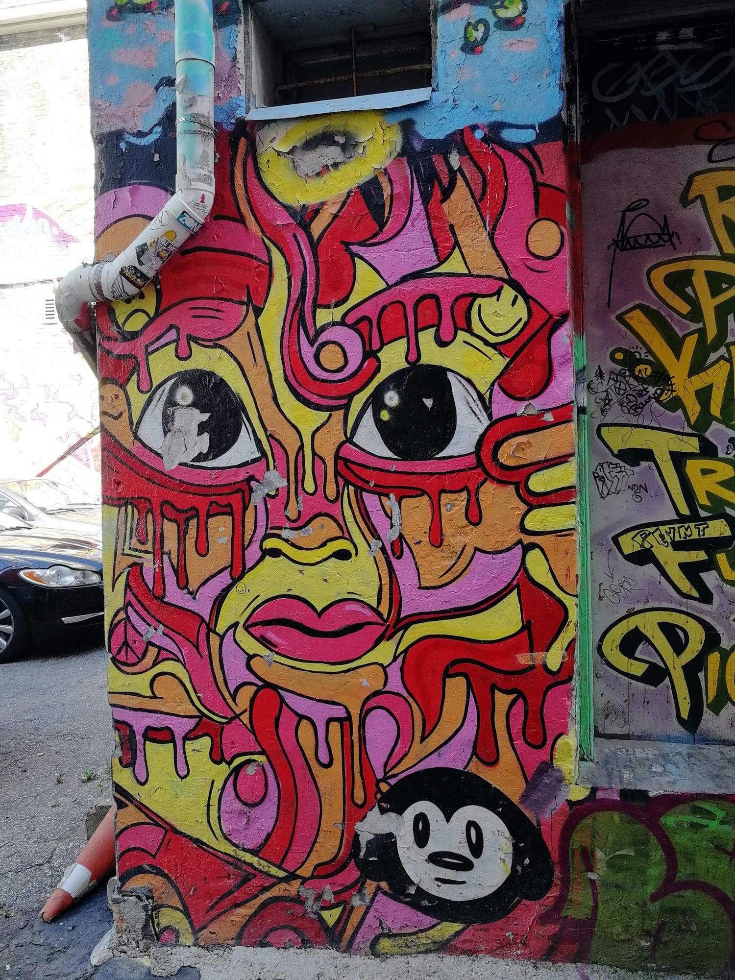 Graffiti 2492  capturé par Rabot à Toronto Canada