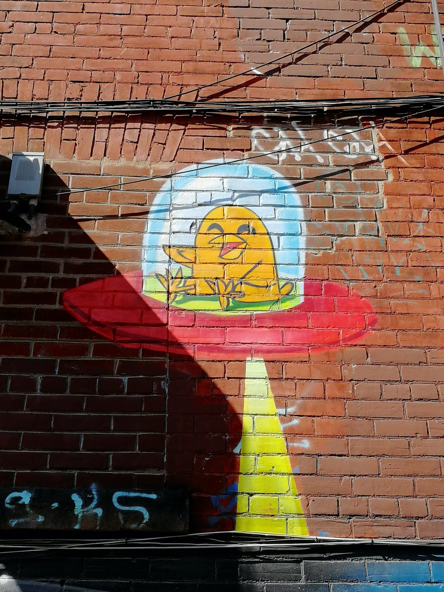 Graffiti 2510  capturé par Rabot à Toronto Canada