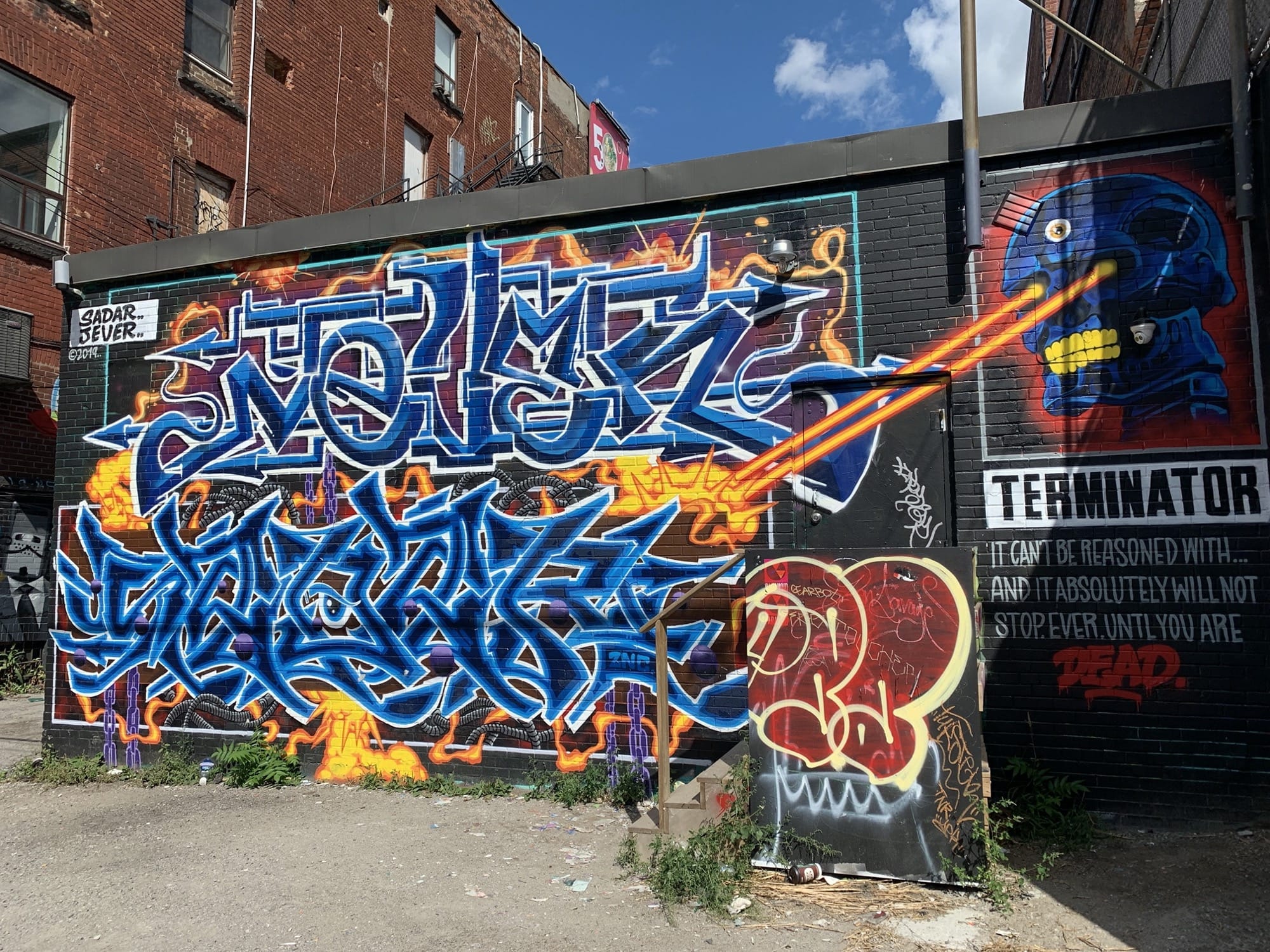 Graffiti 2518  capturé par Rabot à Toronto Canada