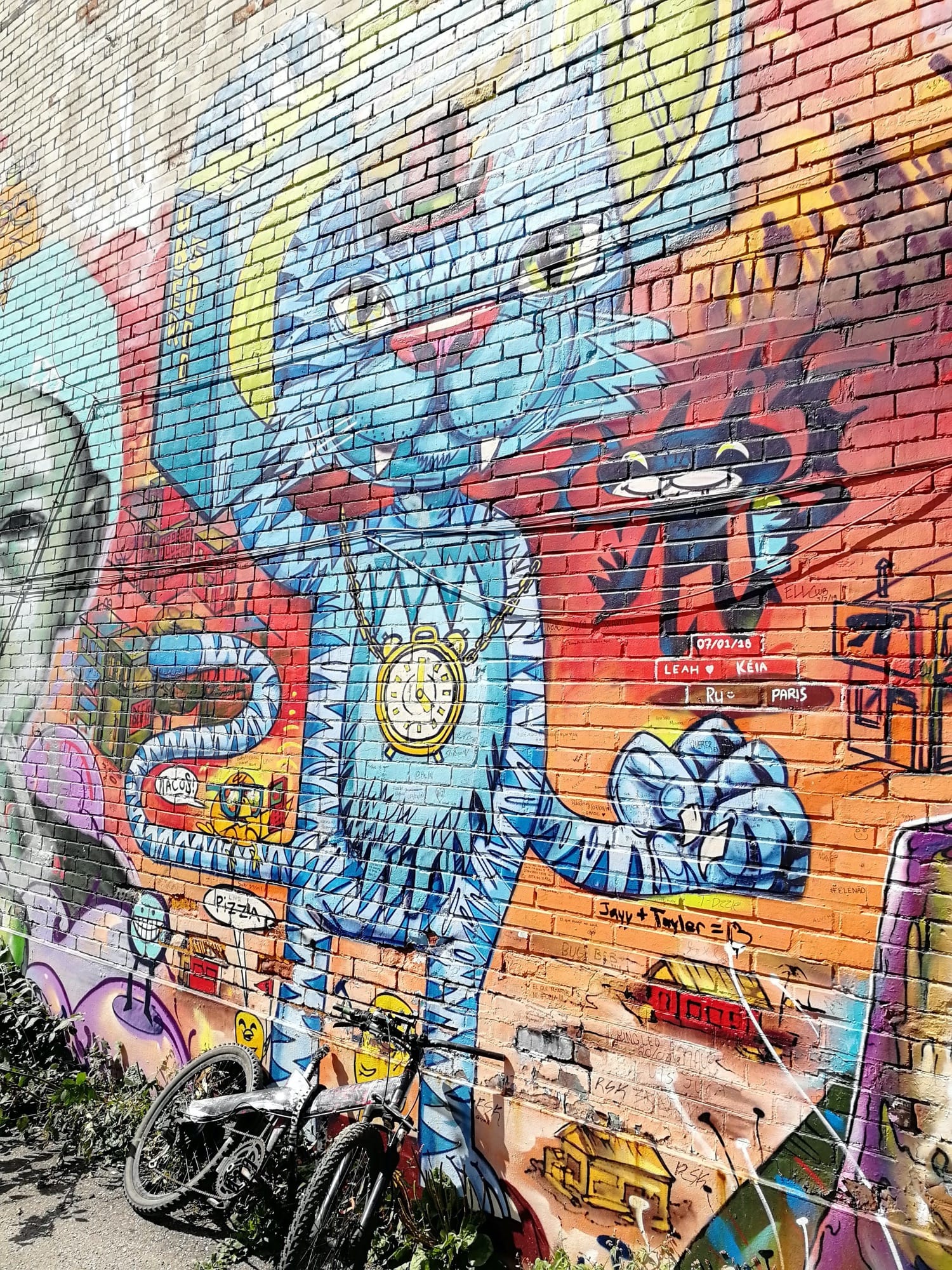 Graffiti 2522  capturé par Rabot à Toronto Canada