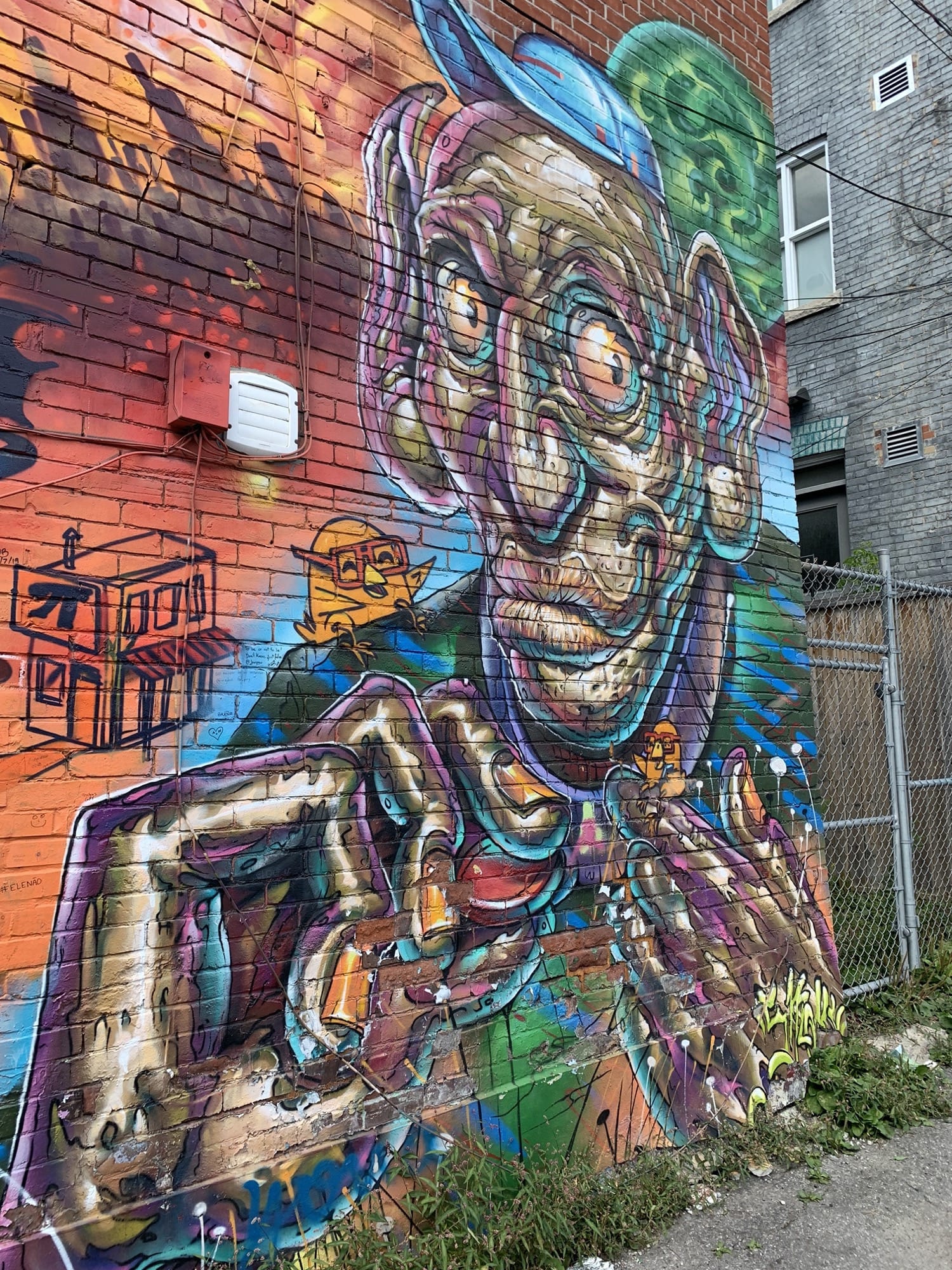 Graffiti 2526  capturé par Rabot à Toronto Canada
