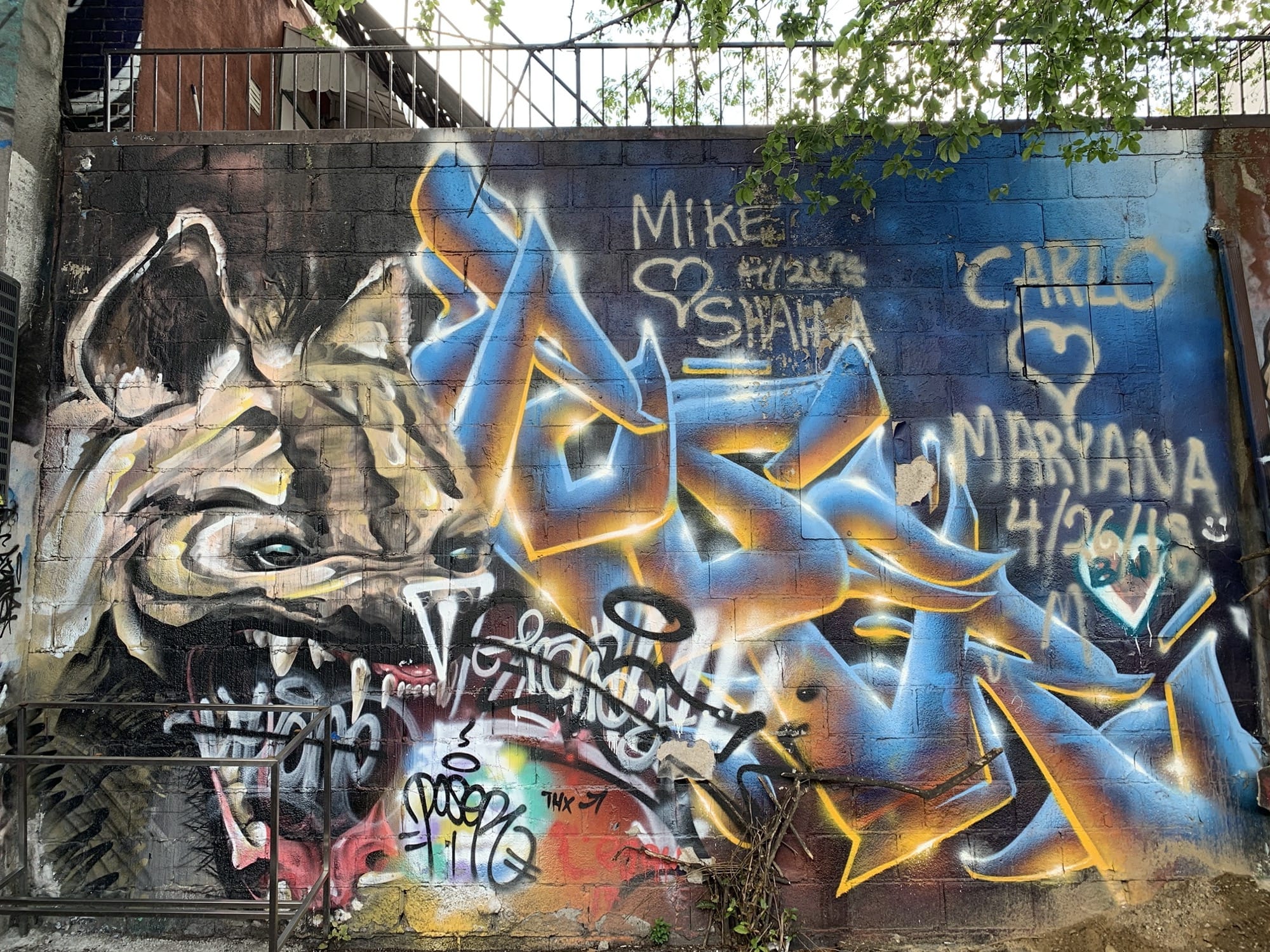 Graffiti 2530  capturé par Rabot à Toronto Canada