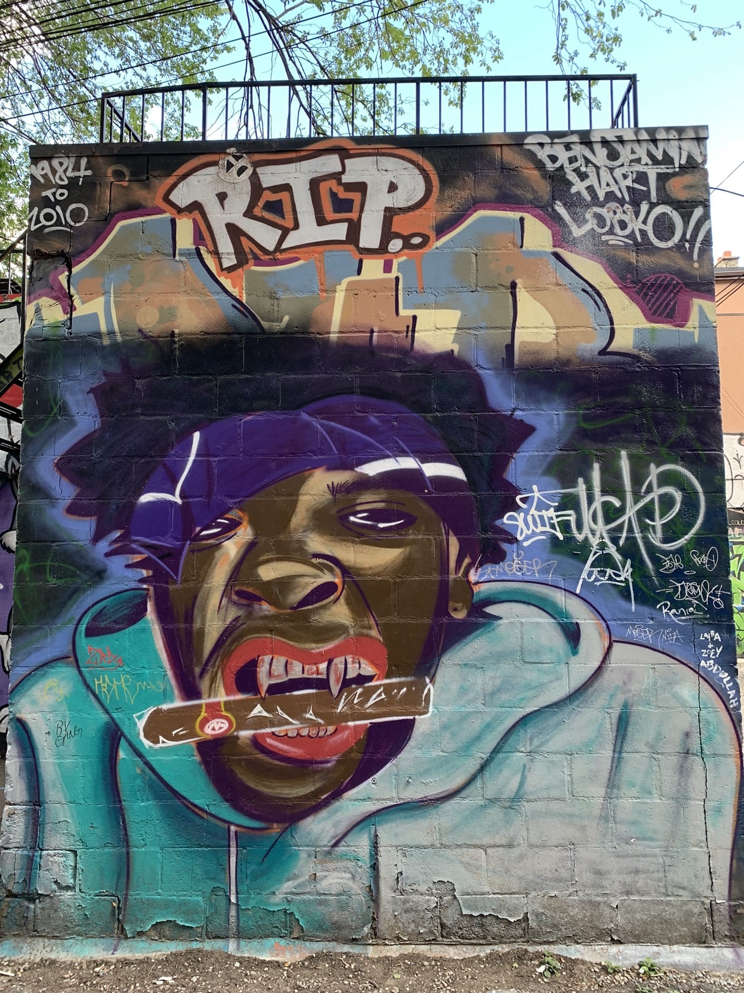 Graffiti 2535  capturé par Rabot à Toronto Canada