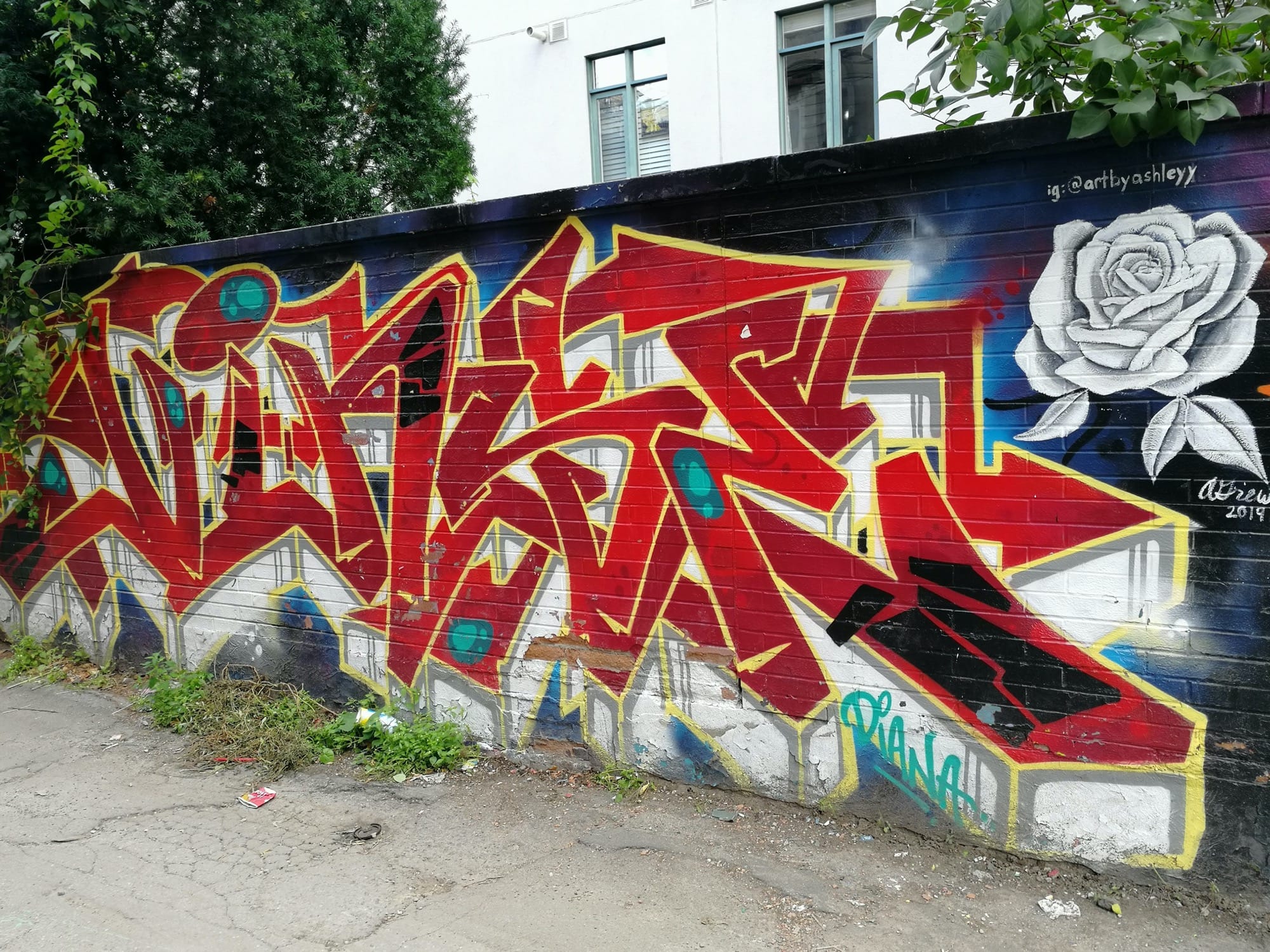Graffiti 2542  capturé par Rabot à Toronto Canada