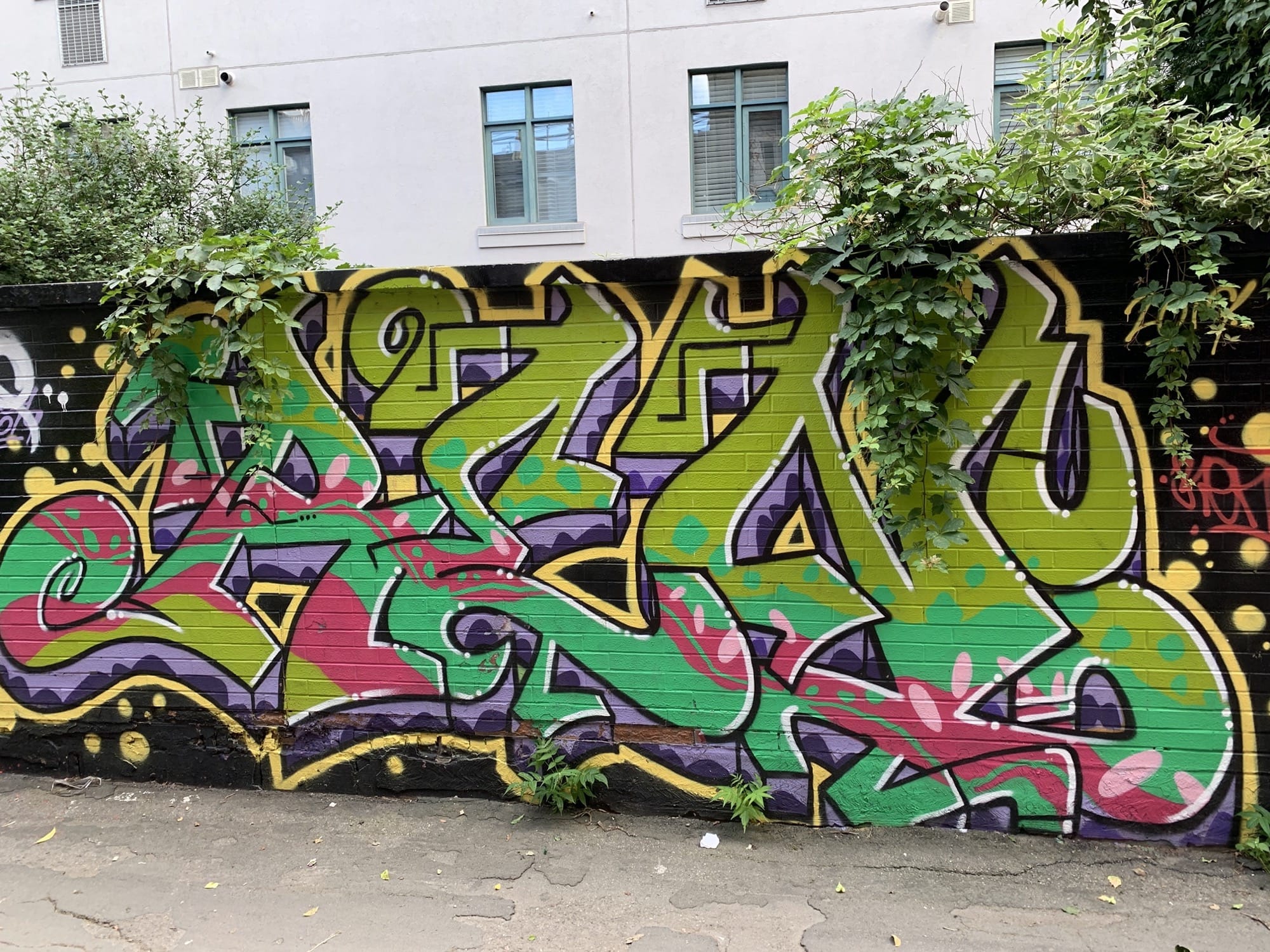 Graffiti 2543  capturé par Rabot à Toronto Canada