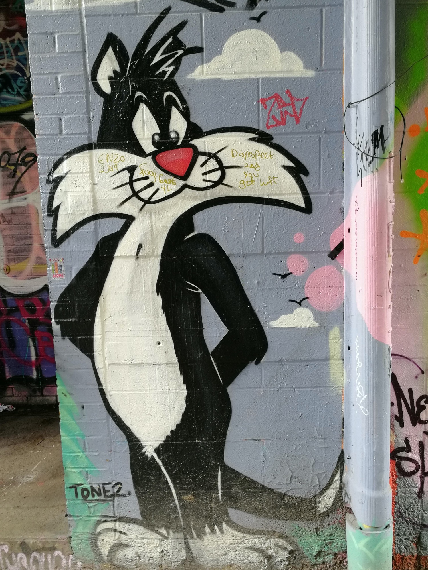 Graffiti 2552  capturé par Rabot à Toronto Canada