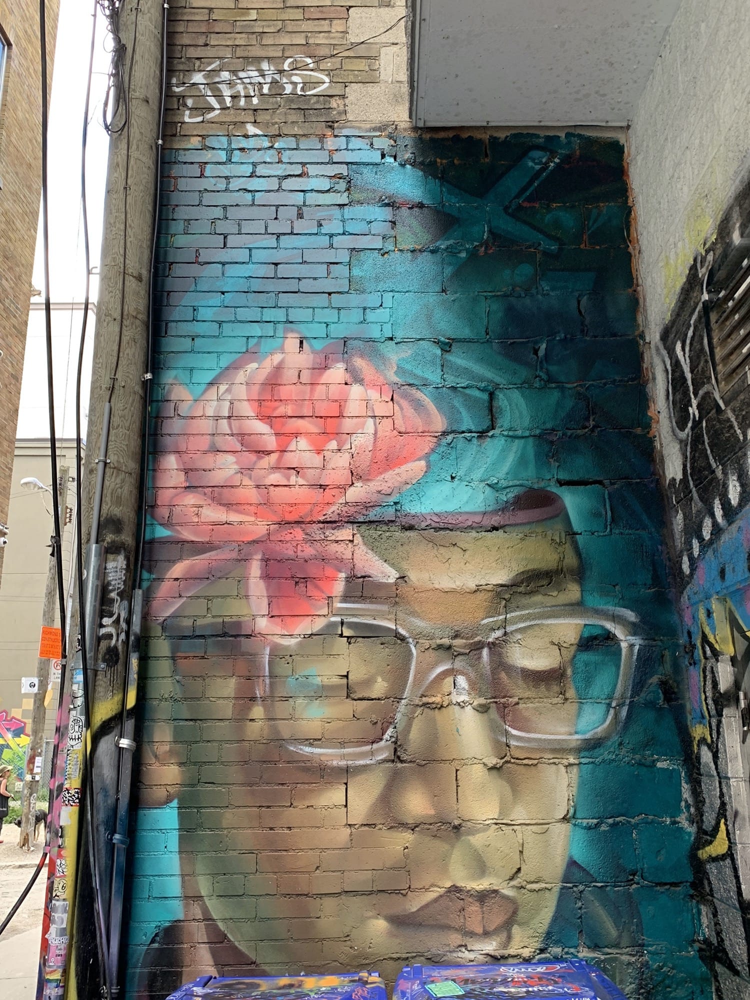 Graffiti 2572  captured by Rabot in Toronto Canada