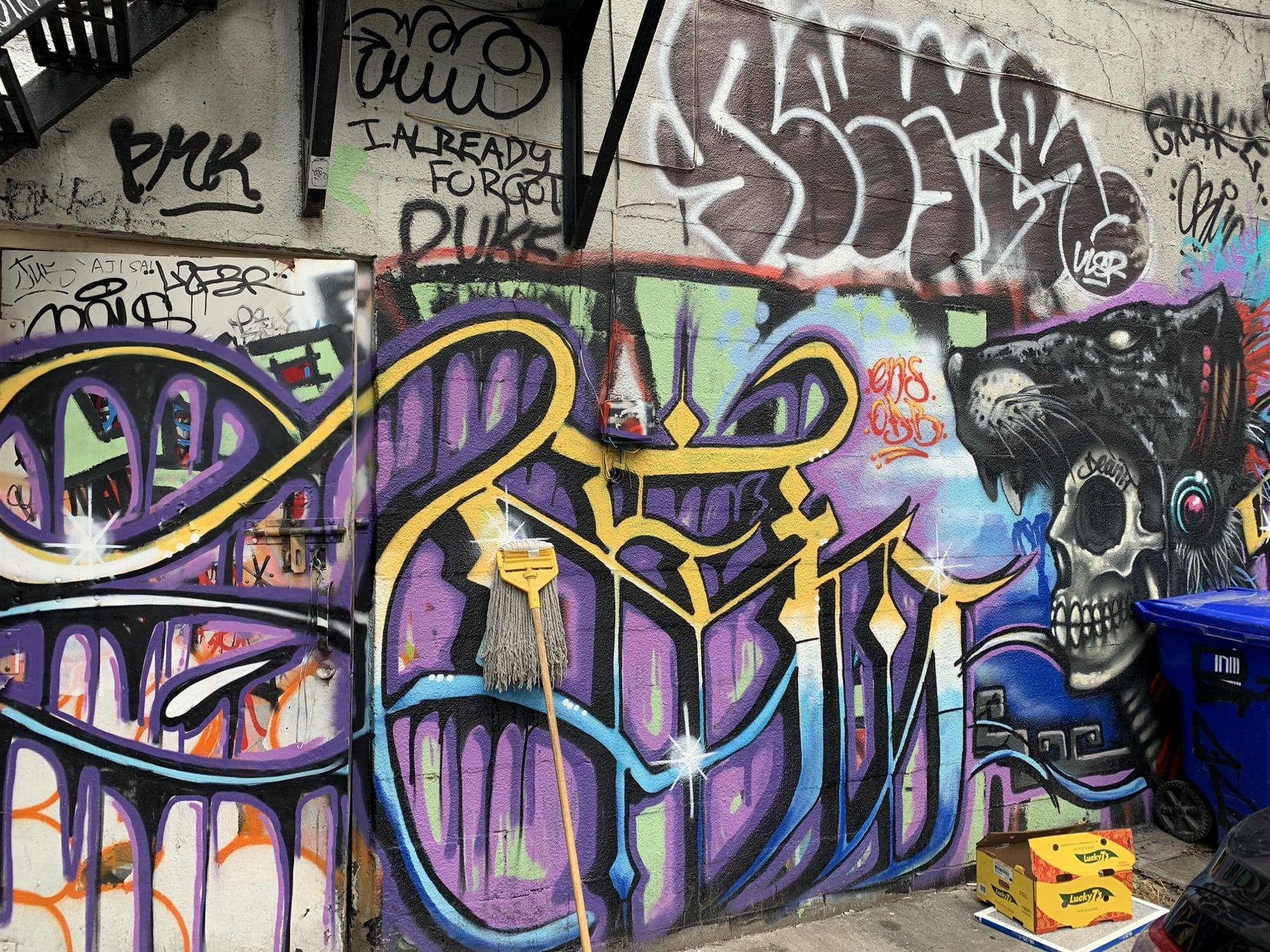 Graffiti 2578  captured by Rabot in Toronto Canada