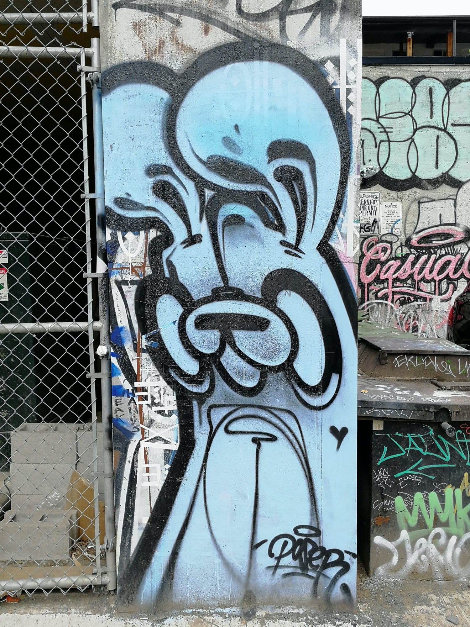 Graffiti 2579  capturé par Rabot à Toronto Canada
