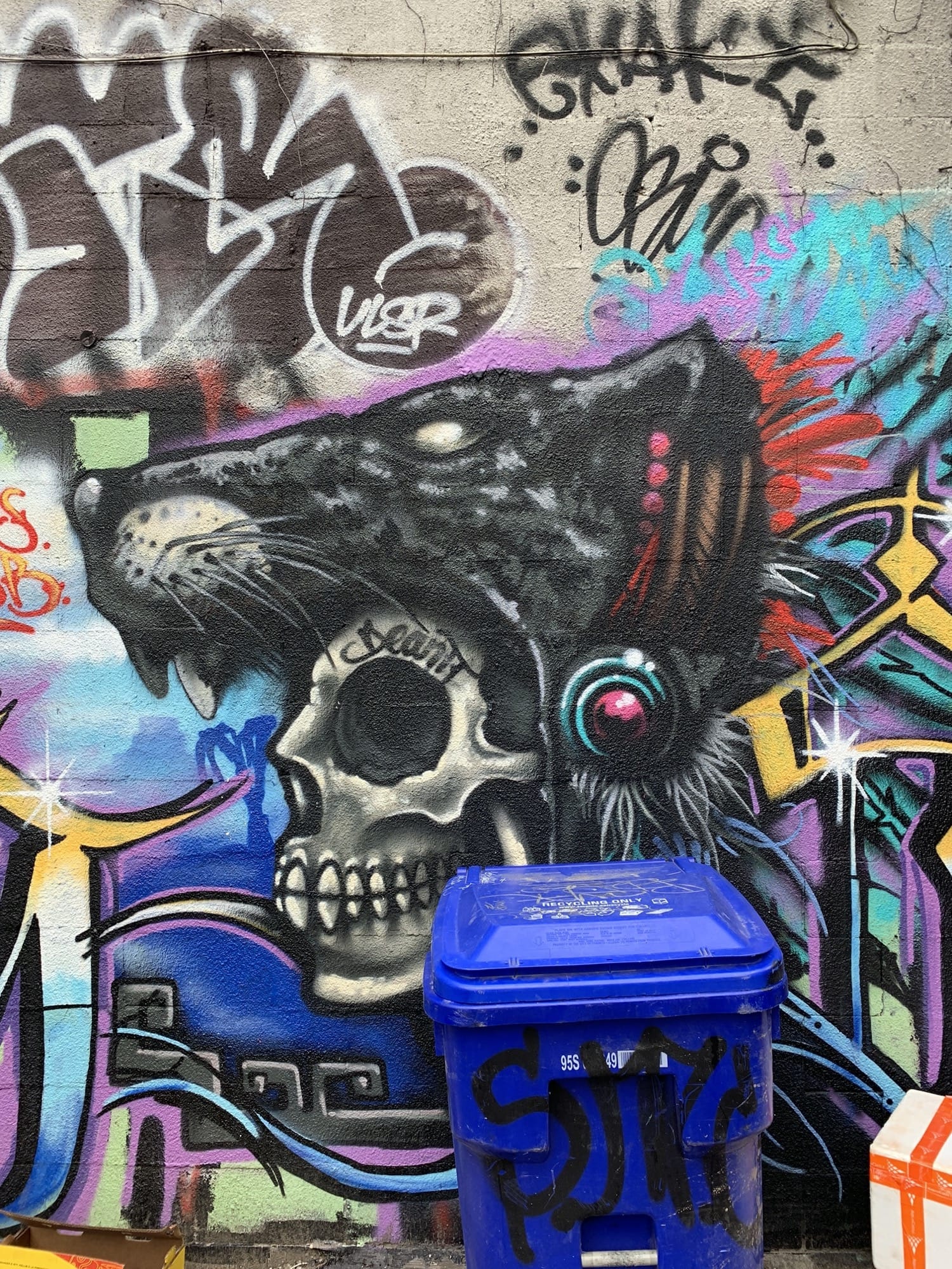 Graffiti 2581  capturé par Rabot à Toronto Canada