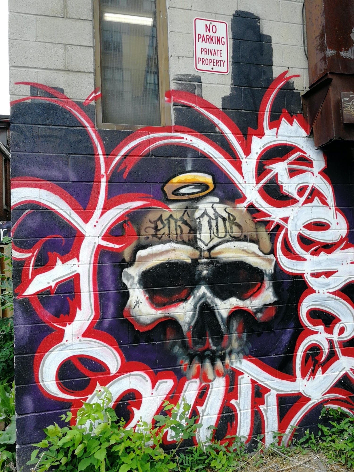 Graffiti 2584  capturé par Rabot à Toronto Canada
