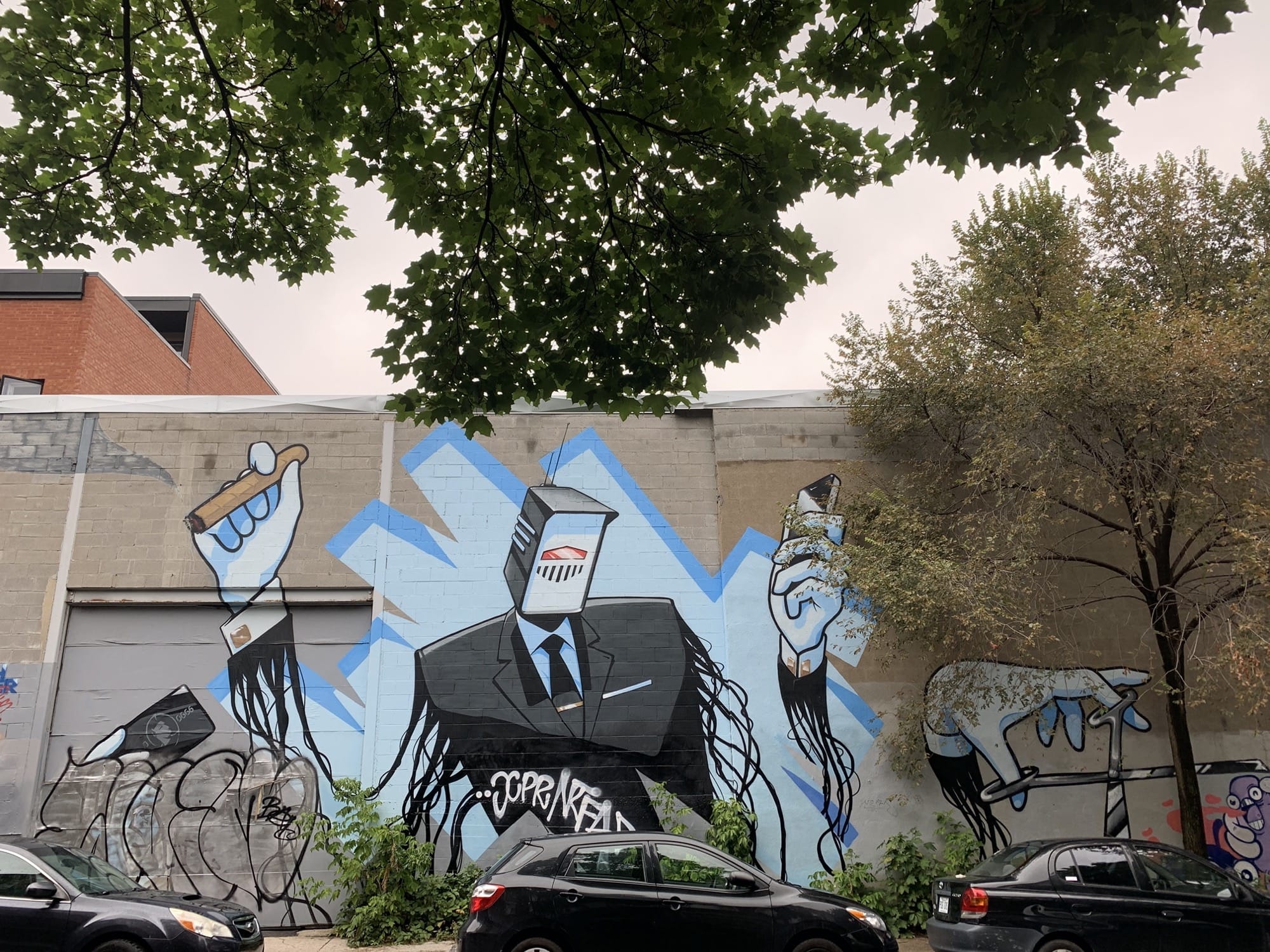 Graffiti 2901  de Earth crusher capturé par Rabot à Montréal Canada