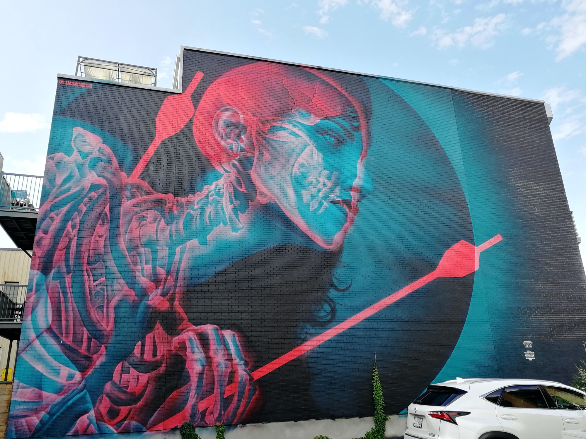 Graffiti 2904  by the artist Insane51 captured by Rabot in Montréal Canada