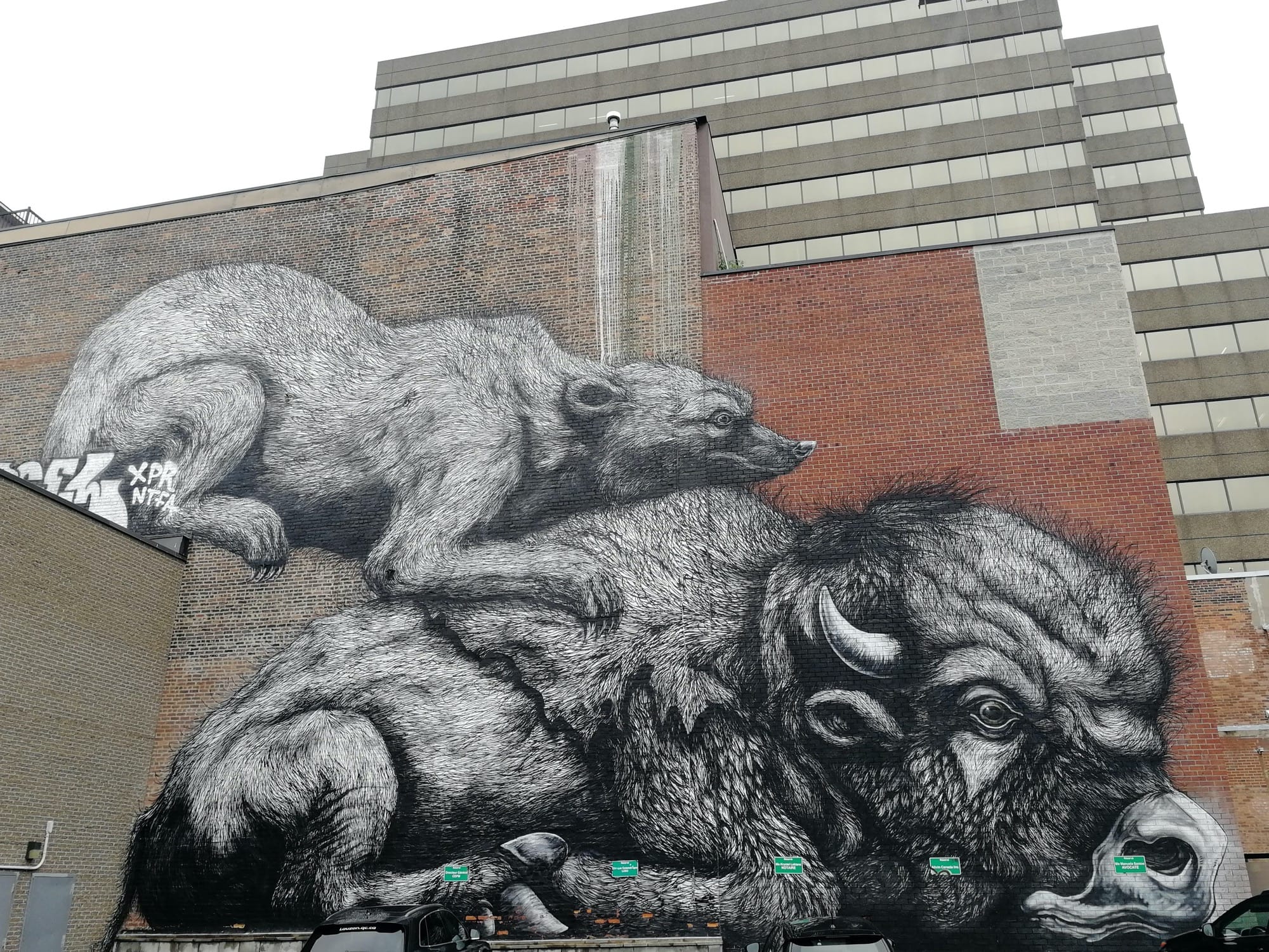 Graffiti 2914  by the artist Roa captured by Rabot in Montréal Canada