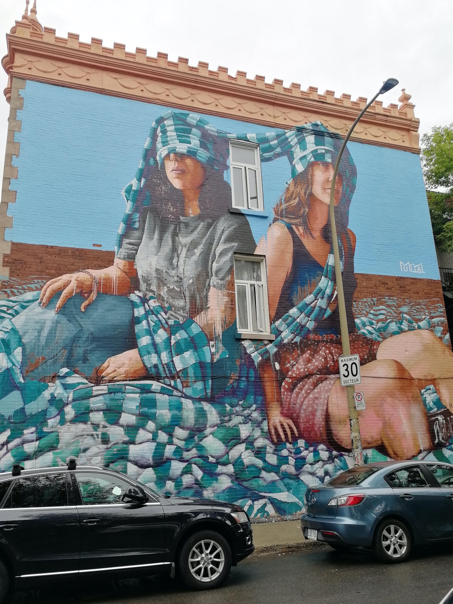Graffiti 2934  by the artist Fintan Magee captured by Rabot in Montréal Canada