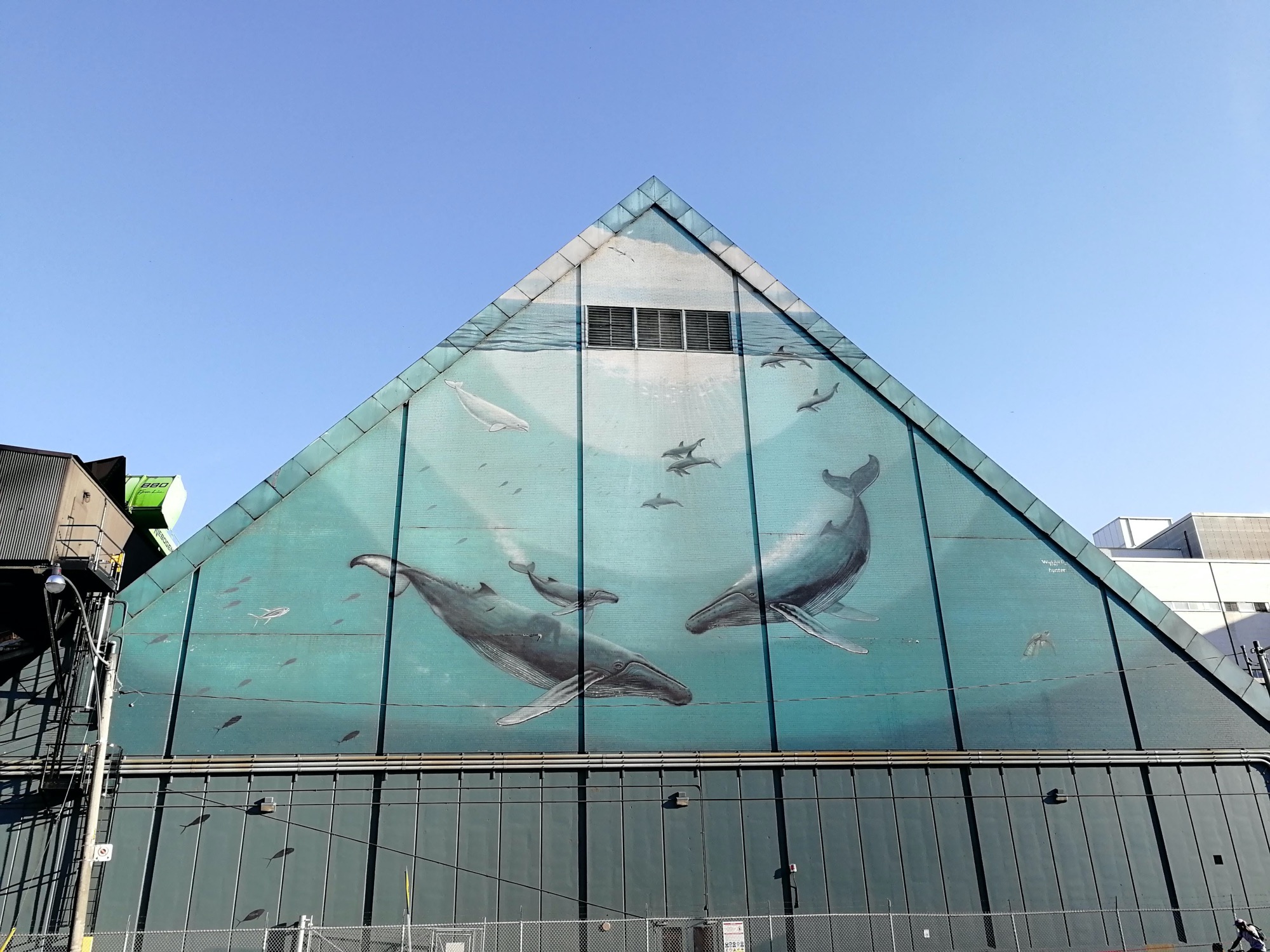 Graffiti 2955  by the artist Wyland captured by Rabot in Toronto Canada