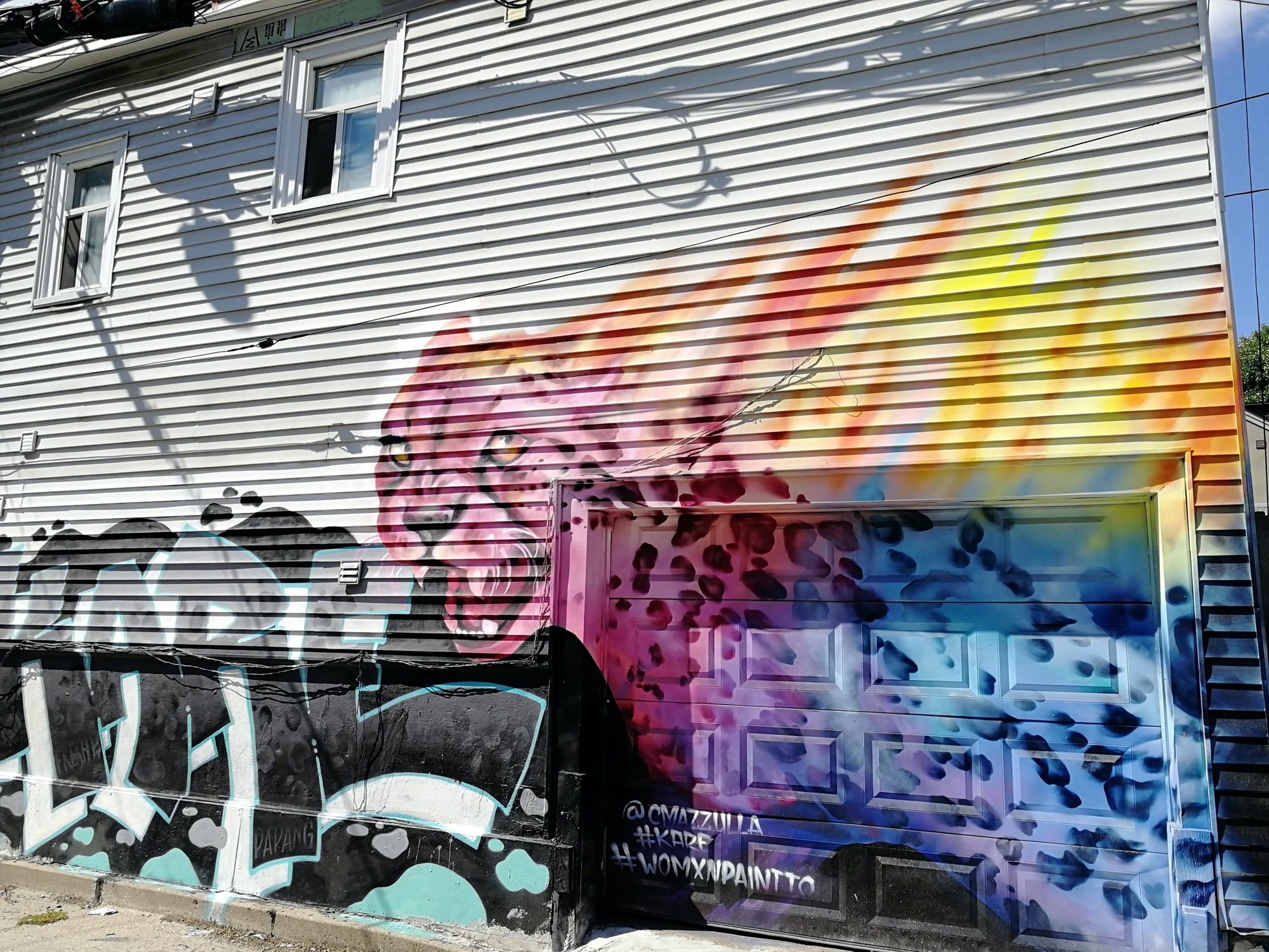 Graffiti 2960  de Christina Mazzulla capturé par Rabot à Toronto Canada