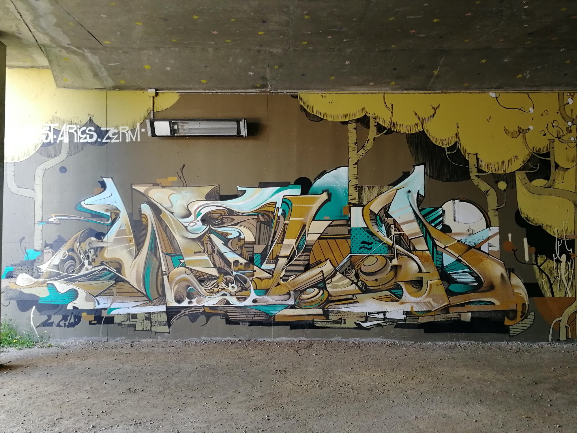 Graffiti 2967  capturé par Rabot à Vannes France