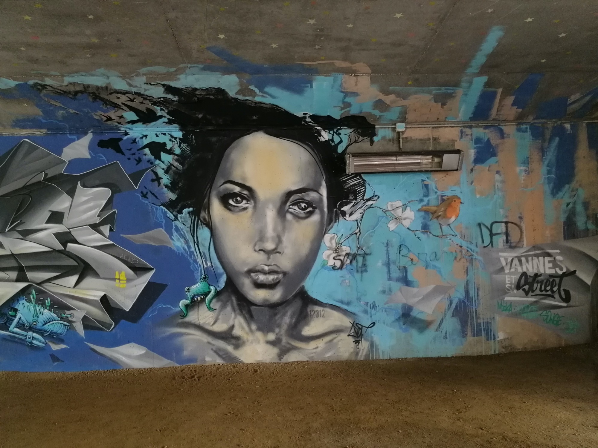 Graffiti 2968  de Jef capturé par Rabot à Vannes France
