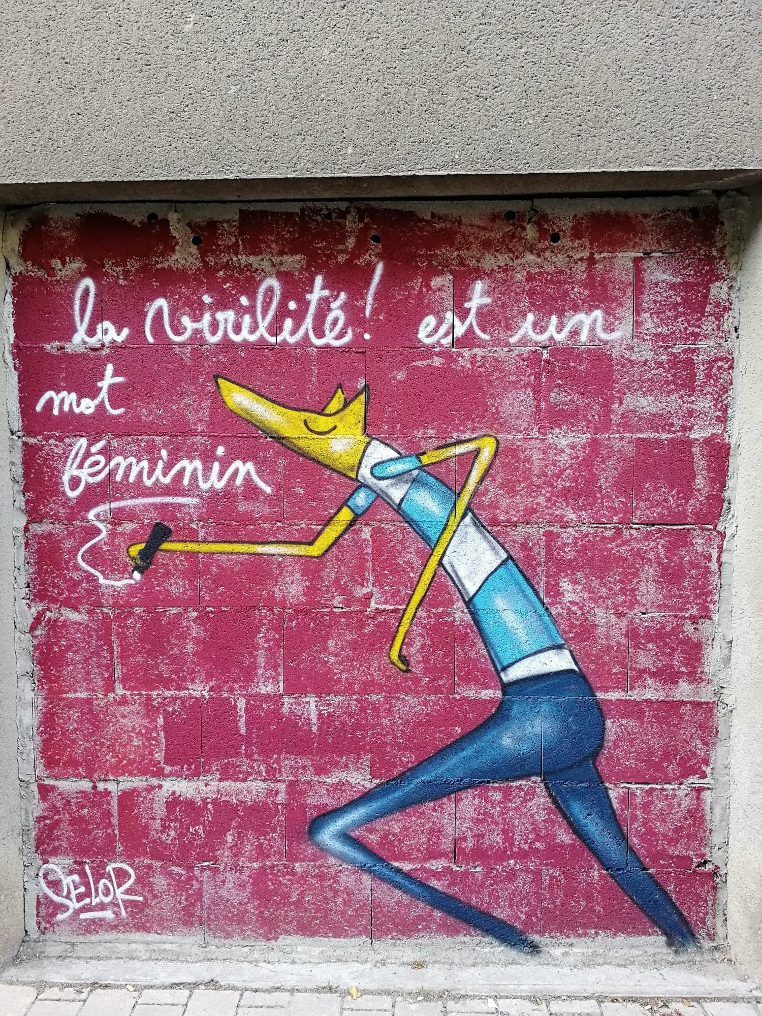 Graffiti 2979 La virilité est un mot féminin by the artist Selor captured by Rabot in Nantes France