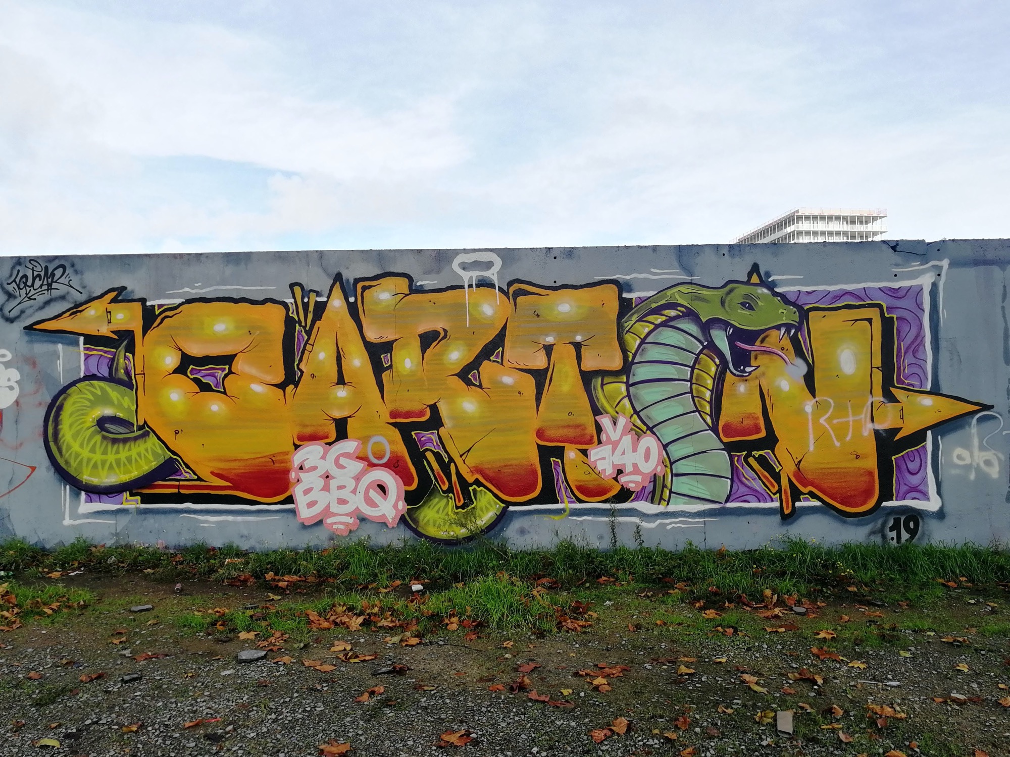 Graffiti 2990  captured by Rabot in Nantes France