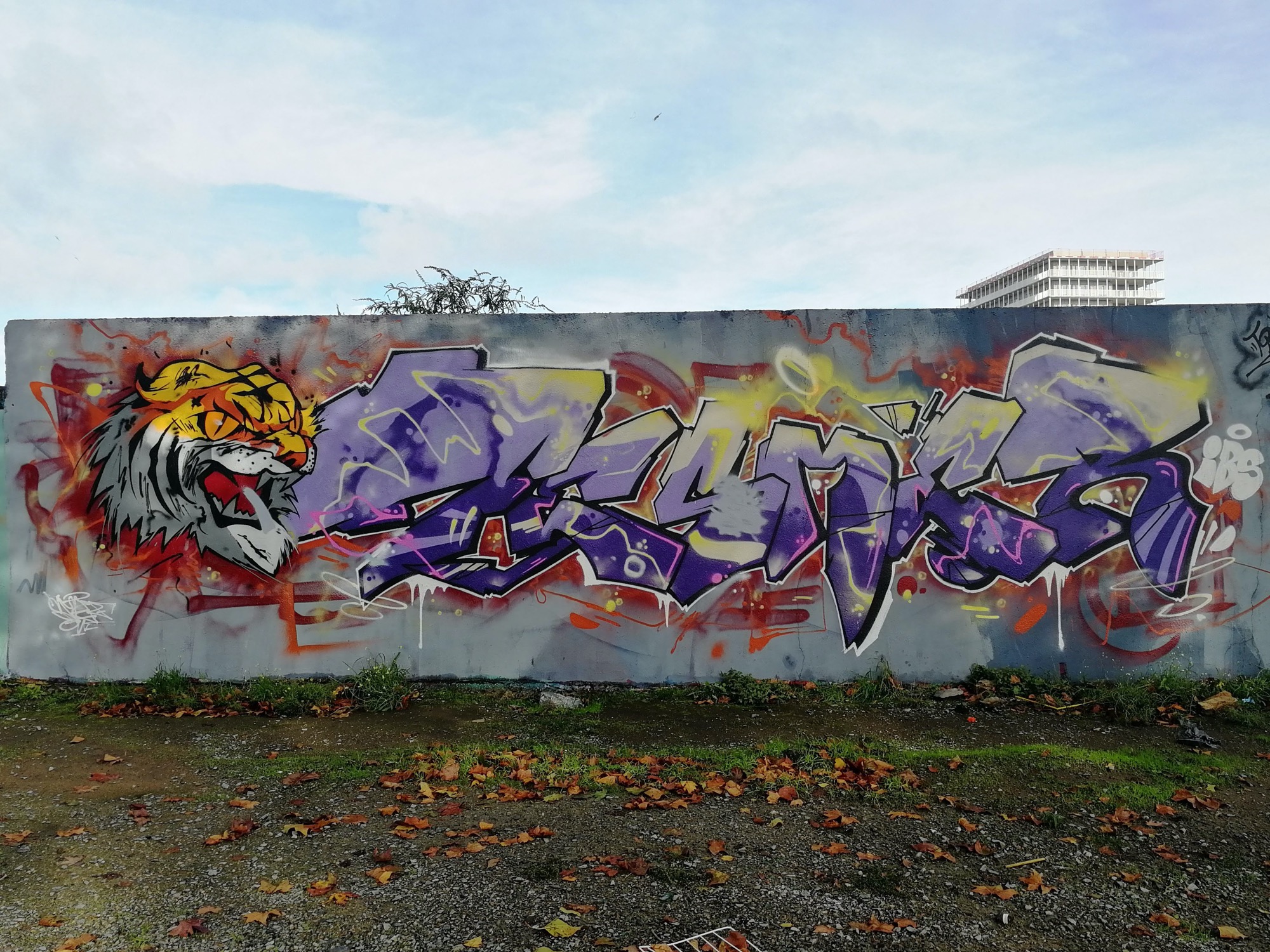 Graffiti 2991  captured by Rabot in Nantes France