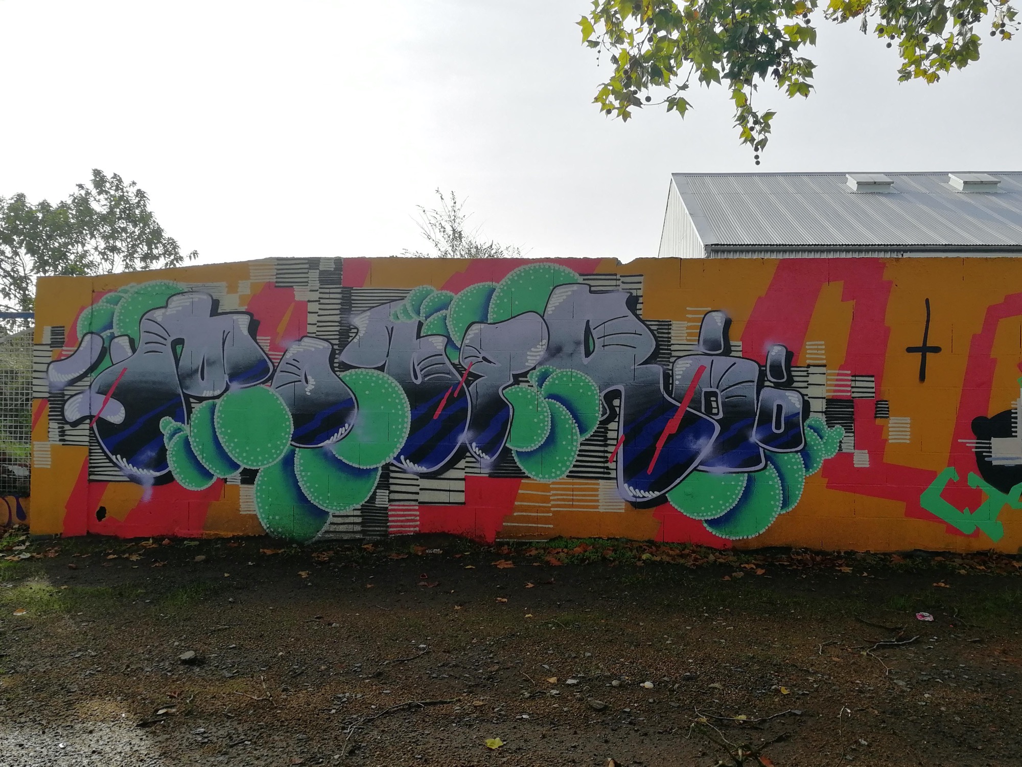 Graffiti 2993  captured by Rabot in Nantes France