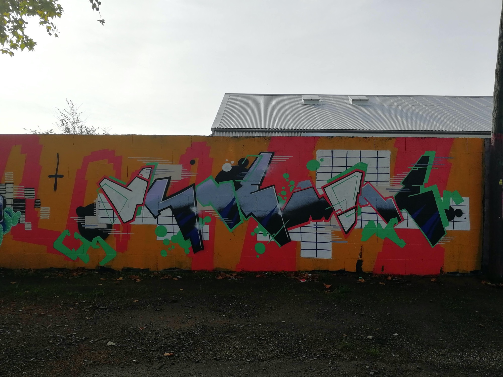 Graffiti 2994  captured by Rabot in Nantes France