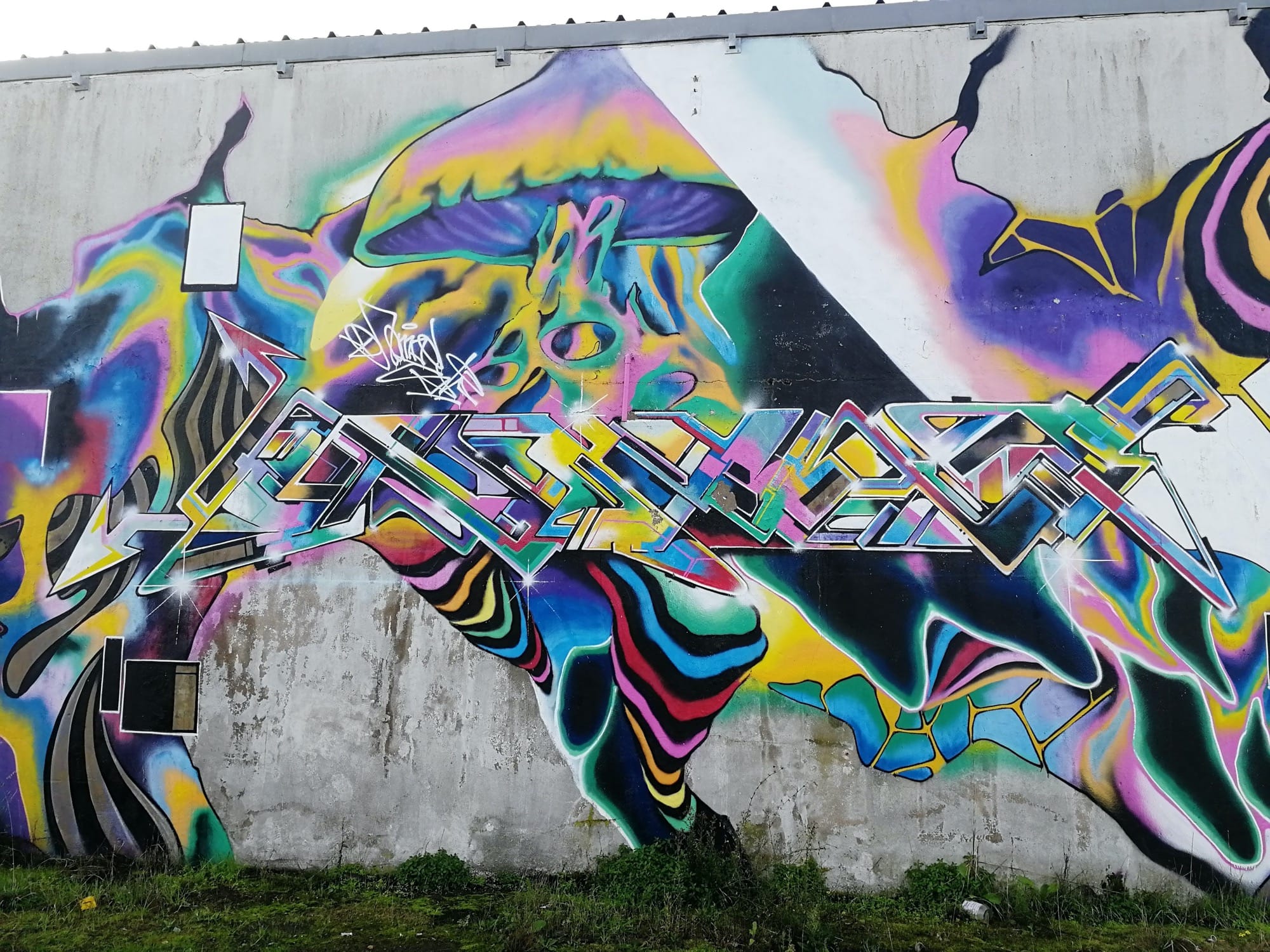 Graffiti 2998  captured by Rabot in Nantes France